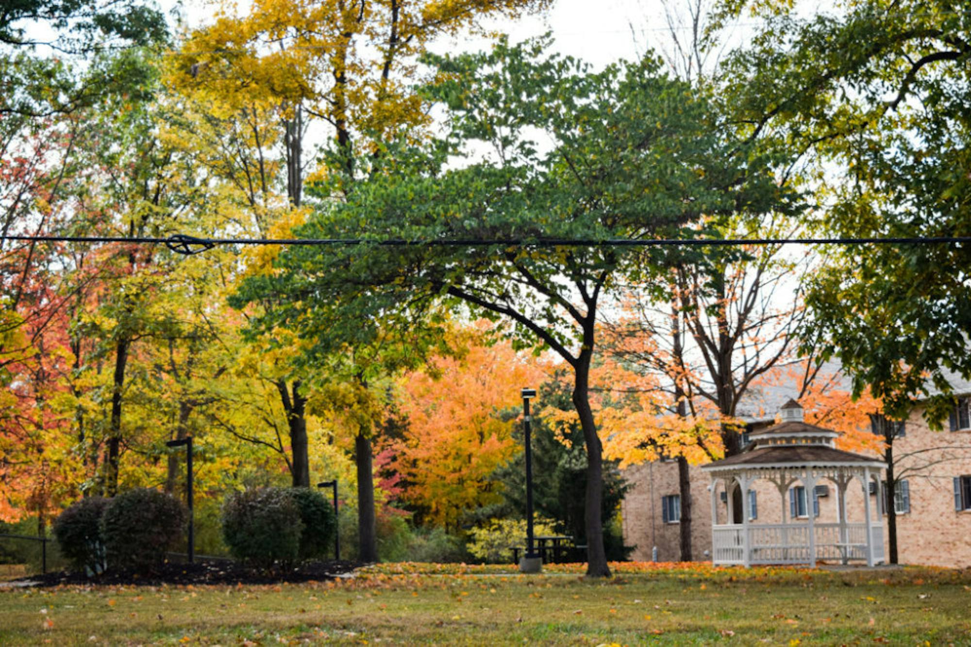 Fall on Campus | Photo by Jessica Fugett | The Wright State Guardian