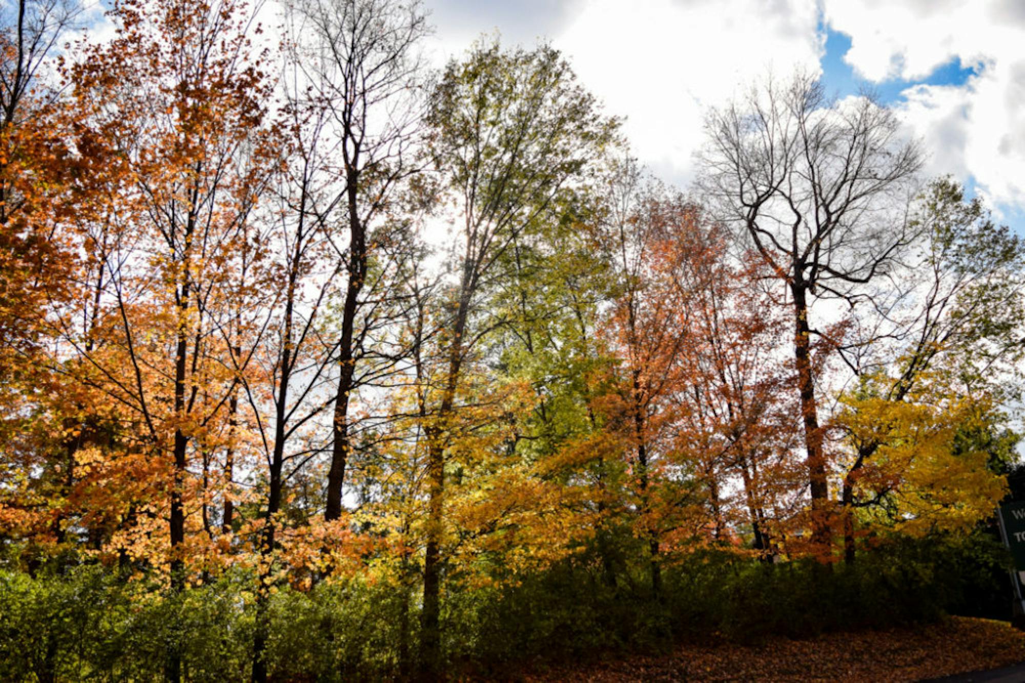 Fall on Campus | Photo by Jessica Fugett | The Wright State Guardian