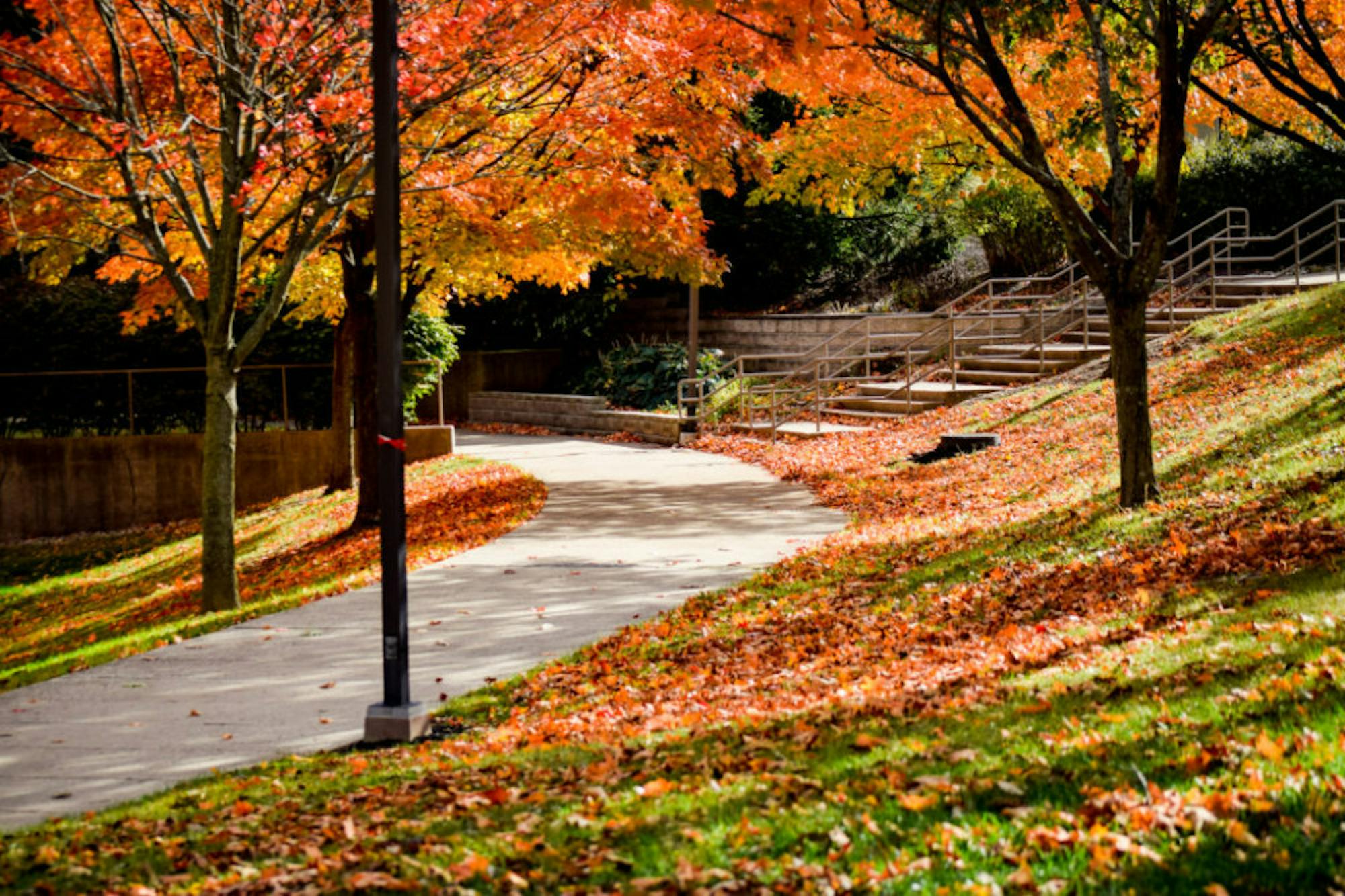 Fall on Campus | Photo by Jessica Fugett | The Wright State Guardian