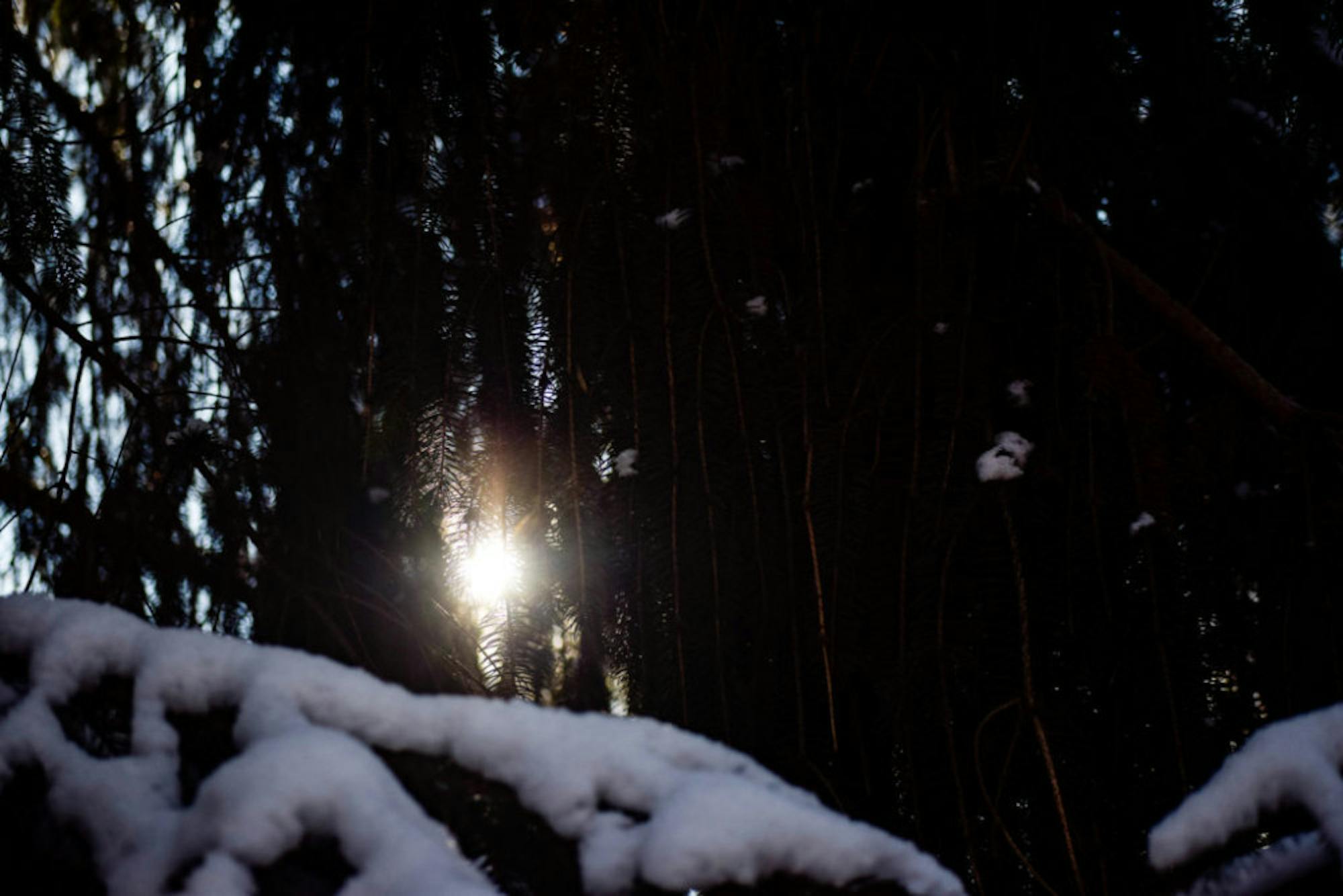 Snow in Rockafield Cemetery | Photo by Jessica Fugett | The Wright State Guardian