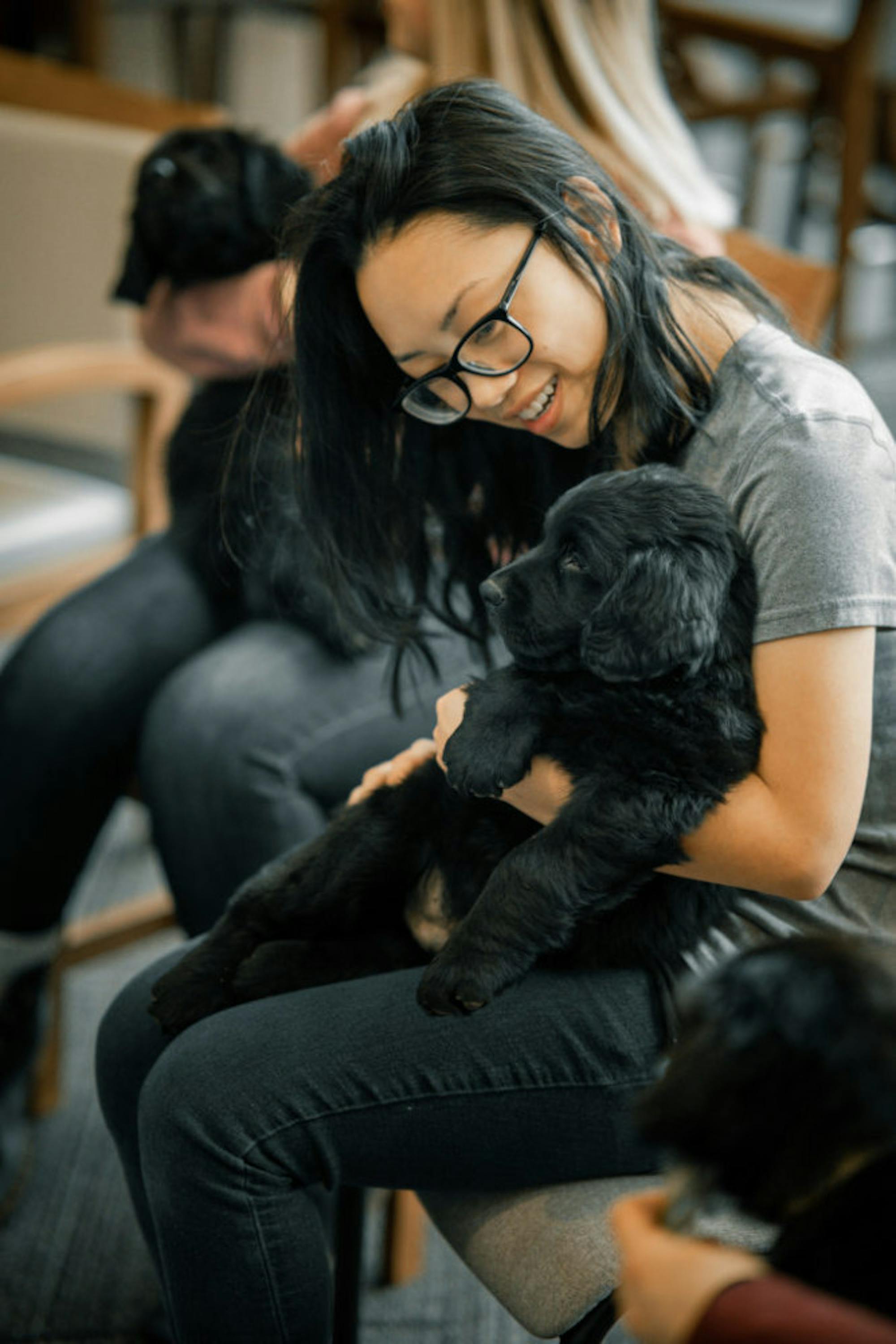 Fuzz Therapy | Photo by Soham Parikh | The Wright State Guardian