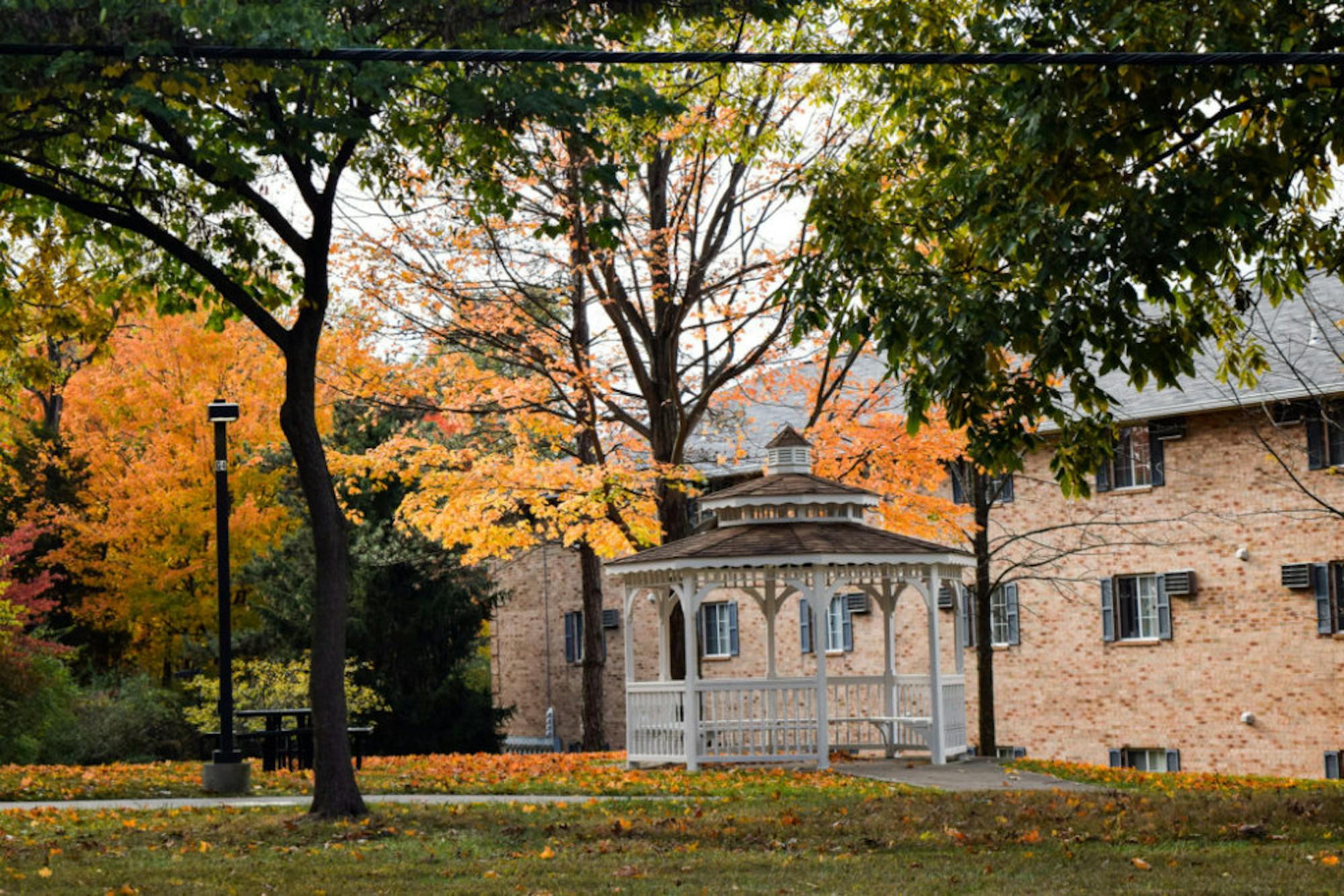 Fall on Campus | Photo by Jessica Fugett | The Wright State Guardian