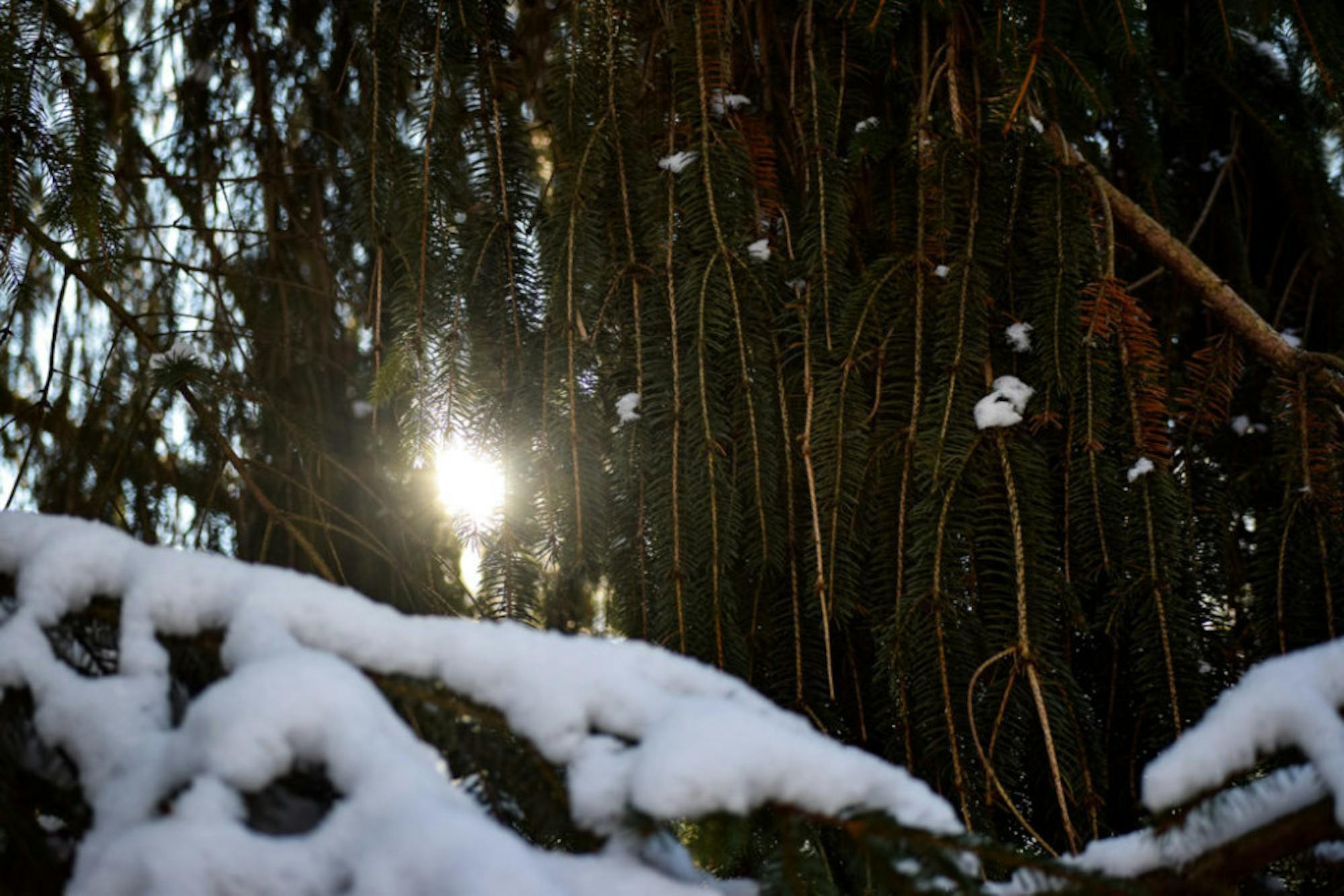 Snow in Rockafield Cemetery | Photo by Jessica Fugett | The Wright State Guardian