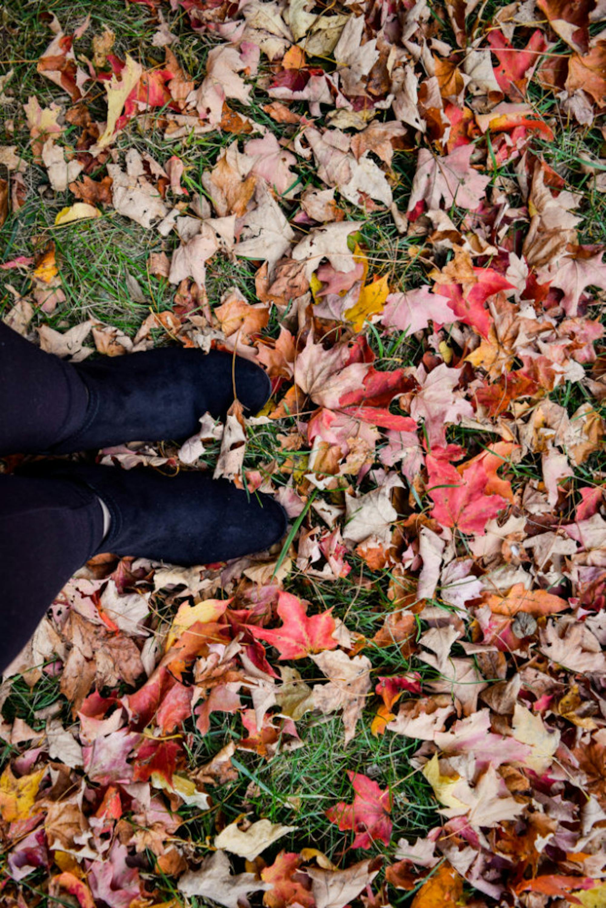 Fall on Campus | Photo by Jessica Fugett | The Wright State Guardian