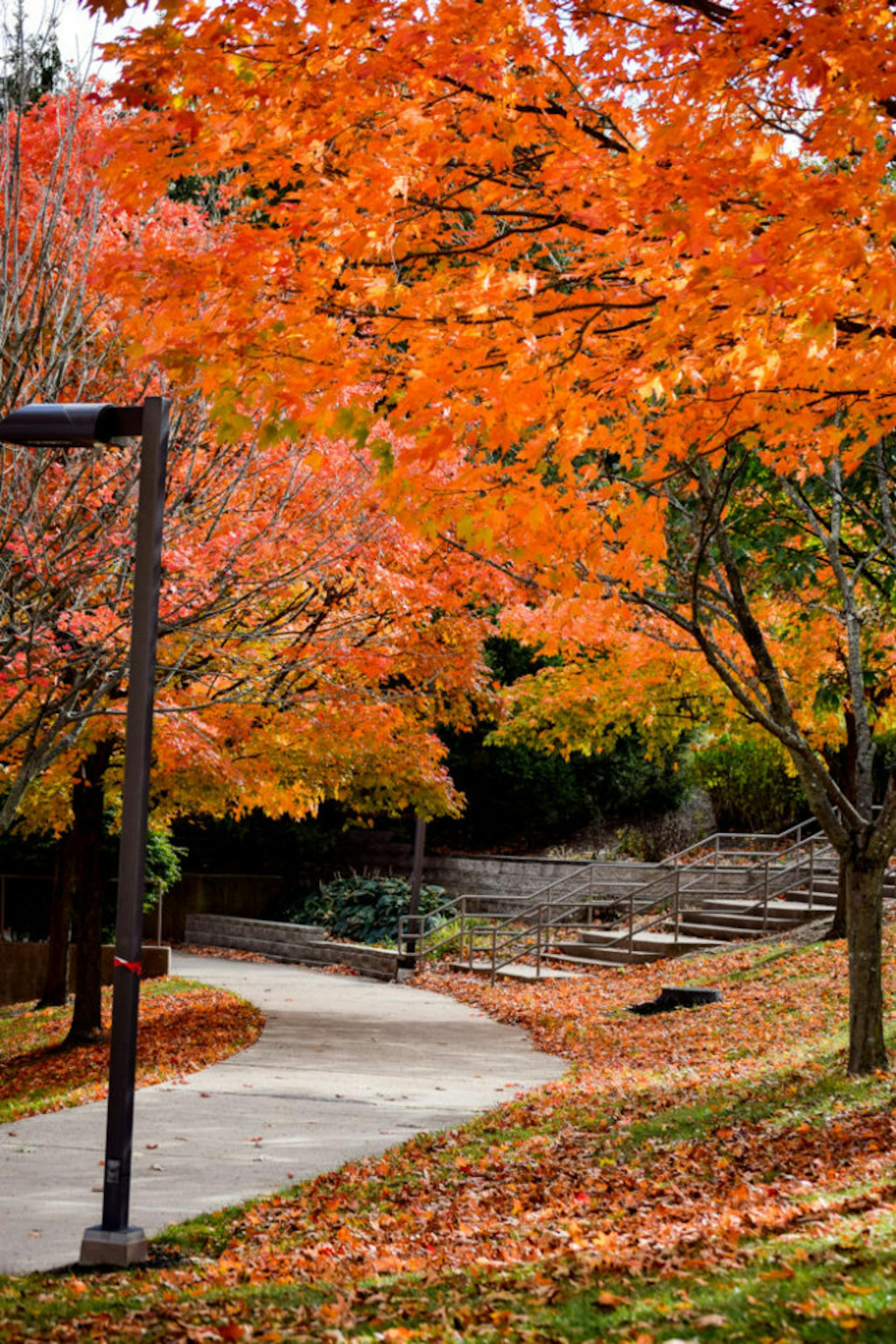 Fall on Campus | Photo by Jessica Fugett | The Wright State Guardian