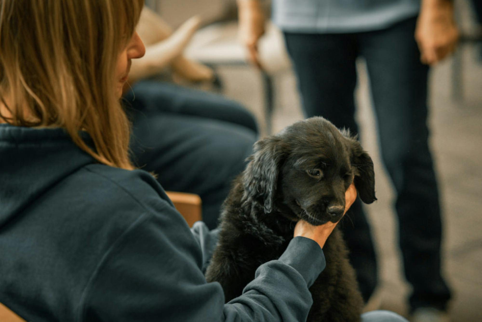 Fuzz Therapy | Photo by Soham Parikh | The Wright State Guardian