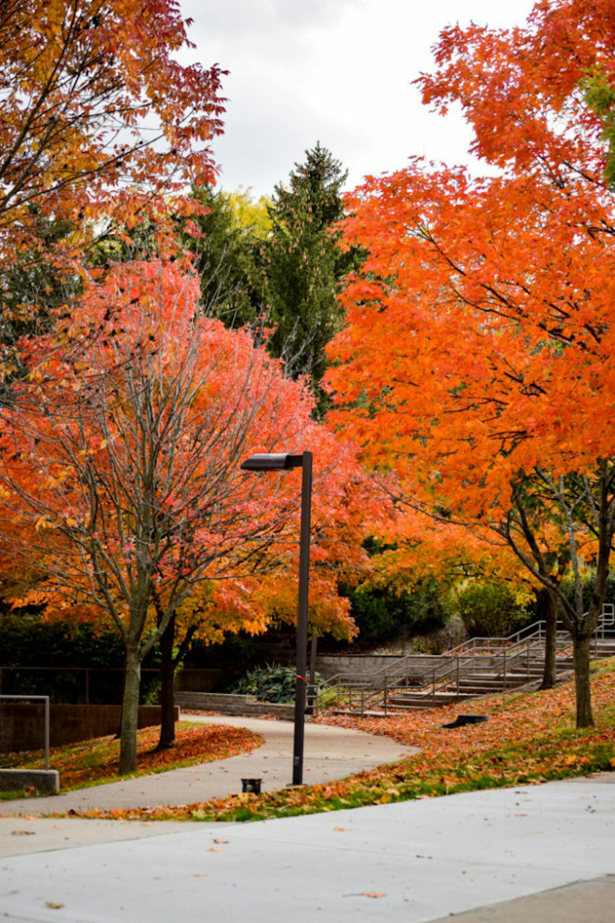 Fall on Campus | Photo by Jessica Fugett | The Wright State Guardian