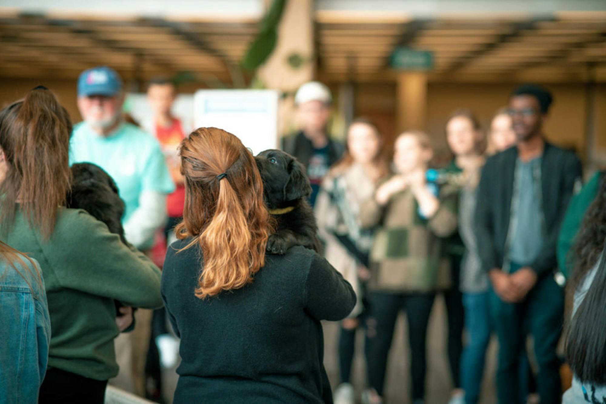 Fuzz Therapy | Photo by Soham Parikh | The Wright State Guardian