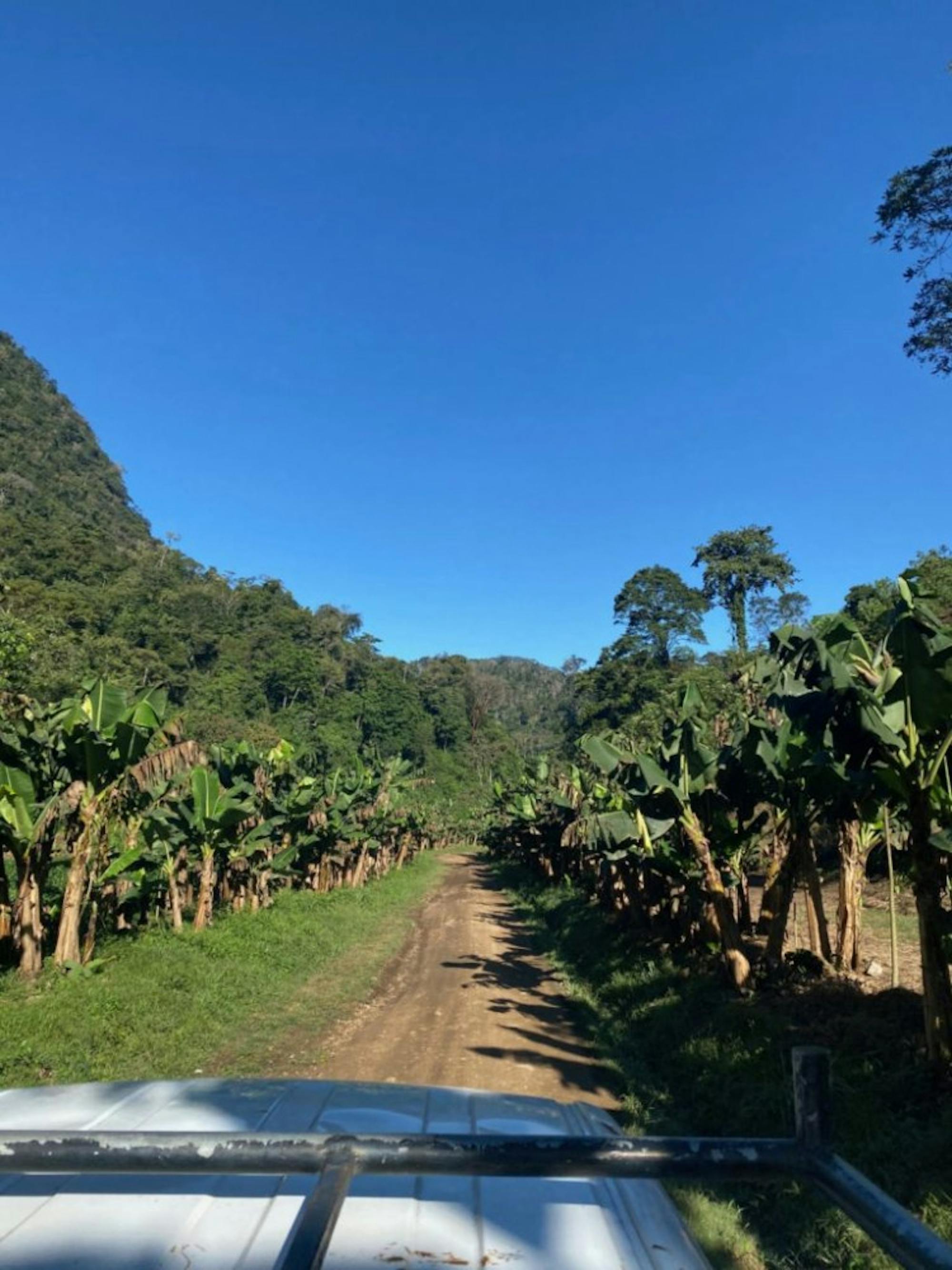 Honduras | Photograph provided by Maia Anderson, CMO of ReyRey Café