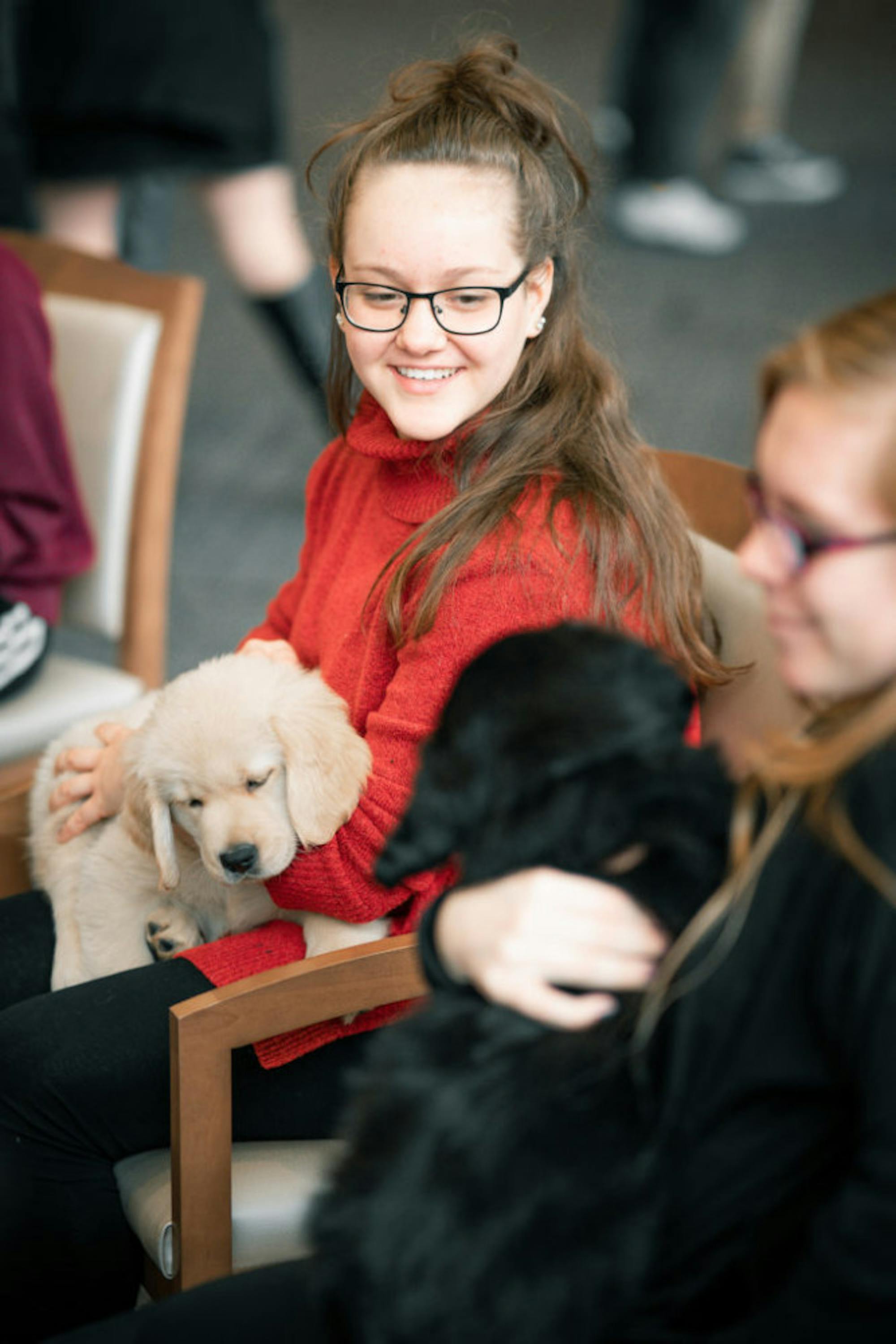 Fuzz Therapy | Photo by Soham Parikh | The Wright State Guardian