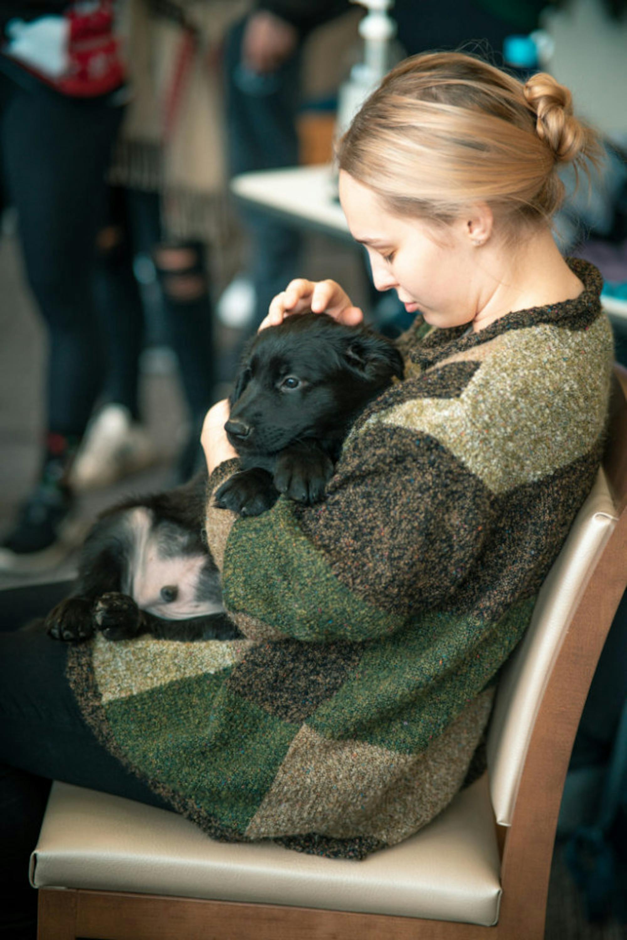 Fuzz Therapy | Photo by Soham Parikh | The Wright State Guardian