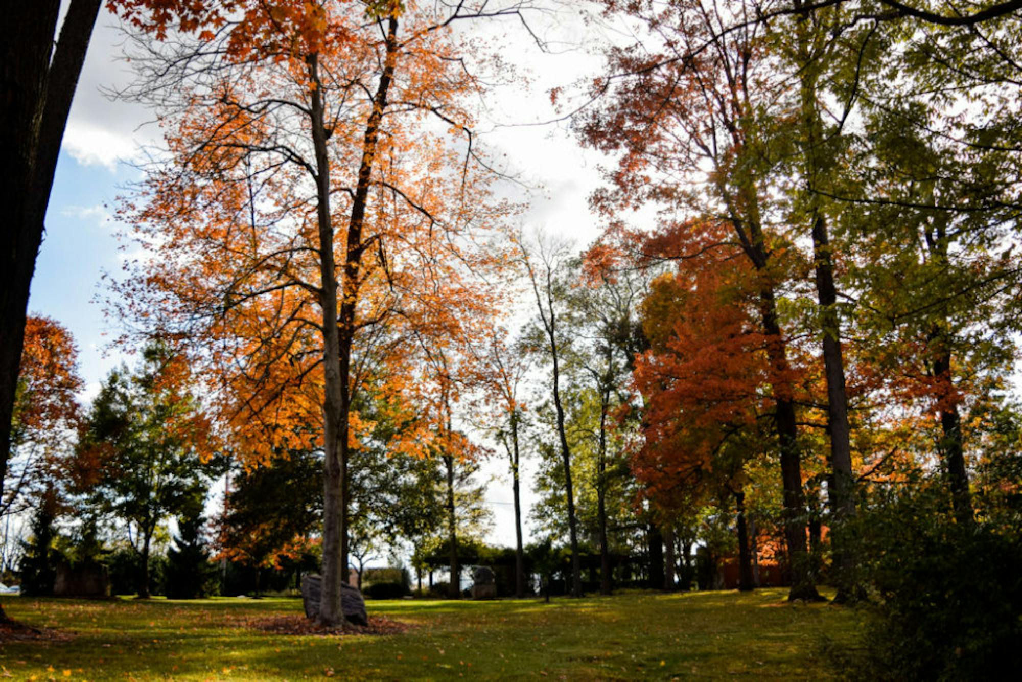 Fall on Campus | Photo by Jessica Fugett | The Wright State Guardian