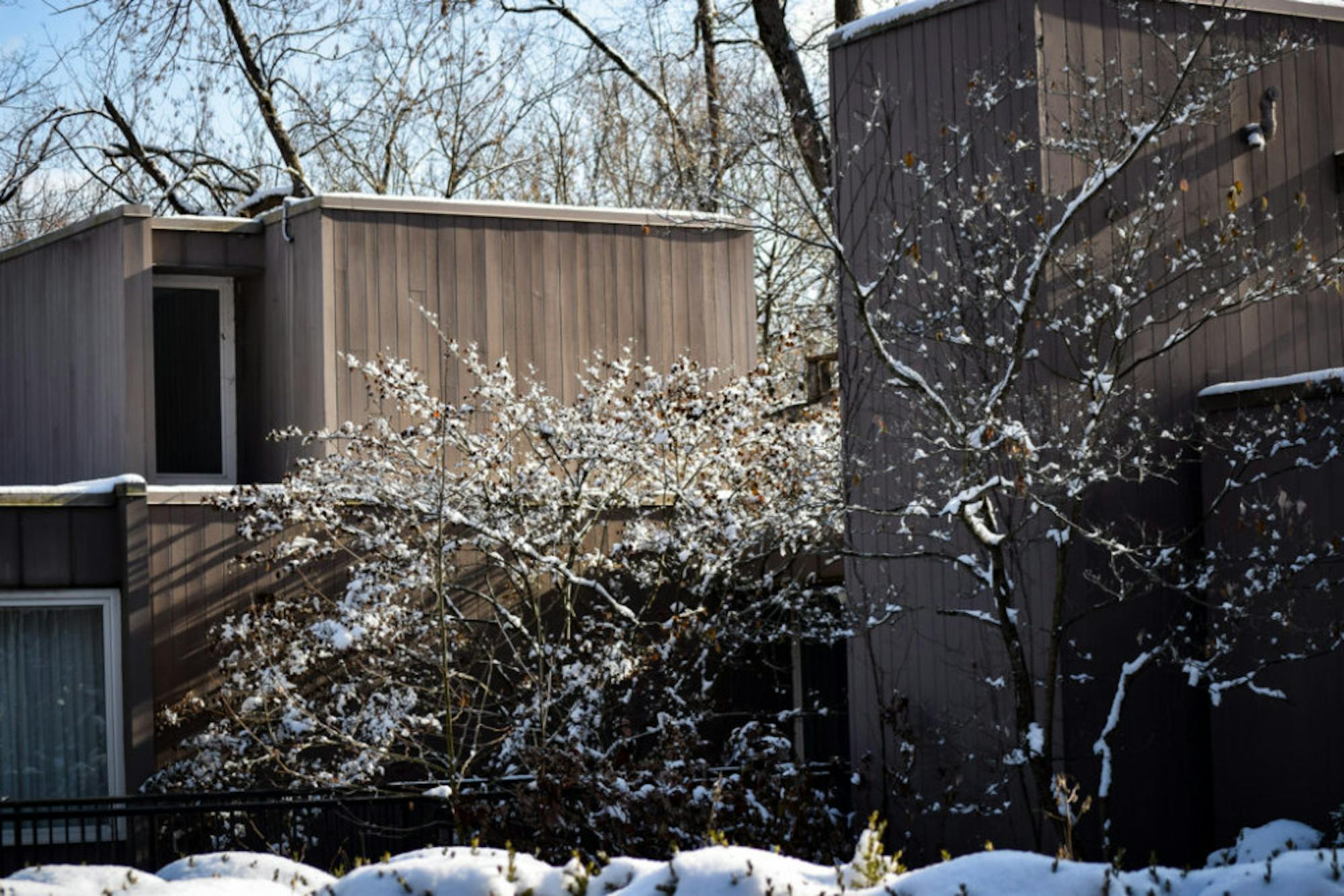 Snow in Rockafield Cemetery | Photo by Jessica Fugett | The Wright State Guardian