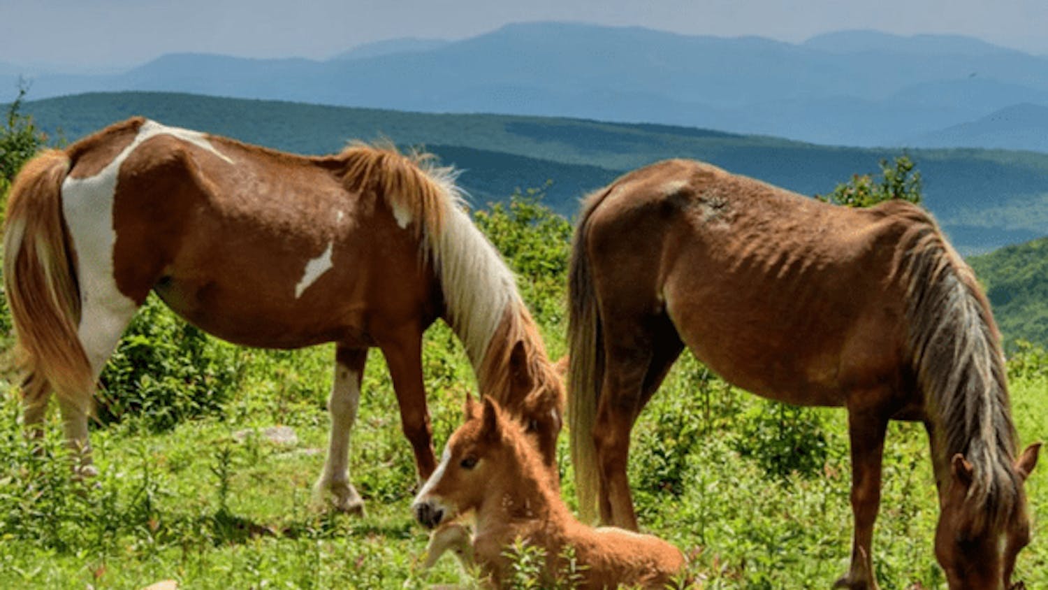 2da99a9f-d6f9-4e32-a8c7-38e1618509259d803b30-7aaa-42b8-a6b6-1f6af45e051e