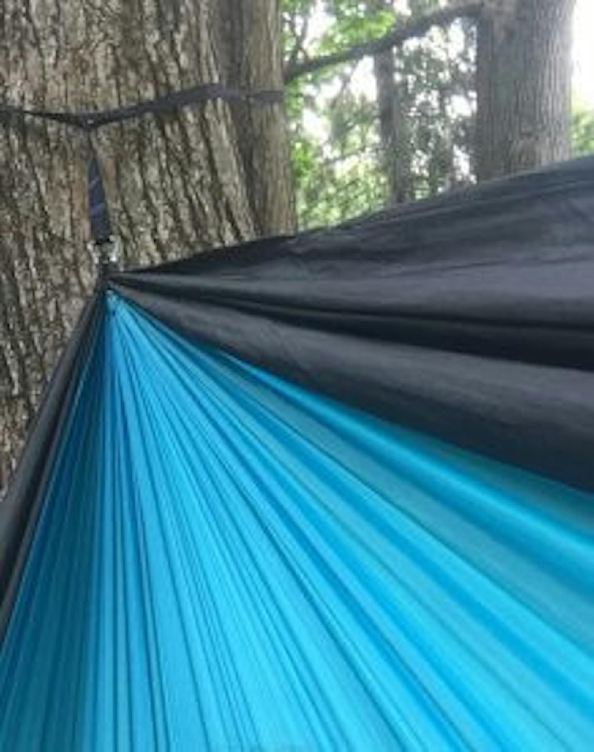 Hammocking on campus. Photograph: Jamie Penwell/The Guardian.