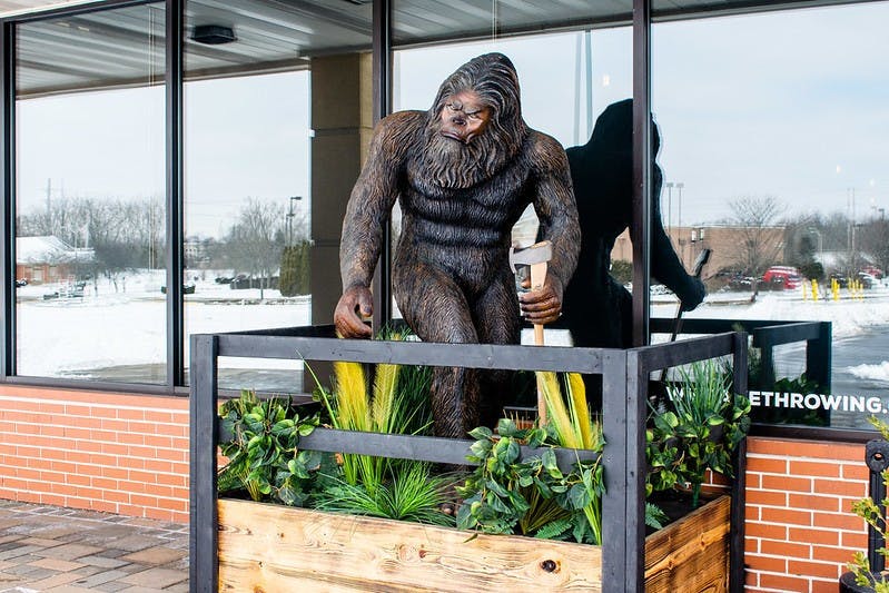 50951378316_accc397298_c1