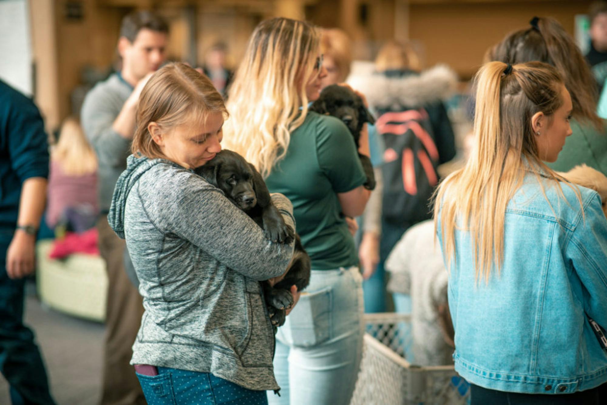 Fuzz Therapy | Photo by Soham Parikh | The Wright State Guardian