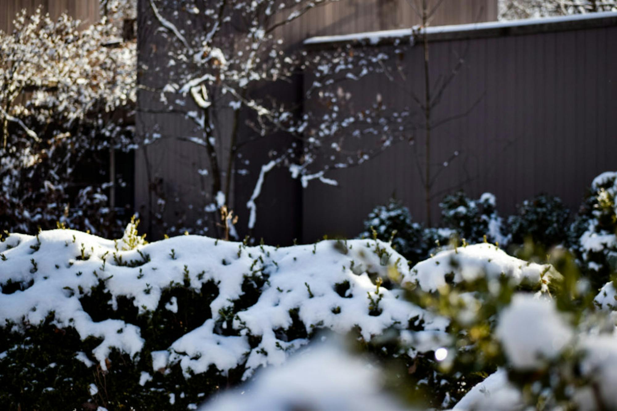 Snow in Rockafield Cemetery | Photo by Jessica Fugett | The Wright State Guardian