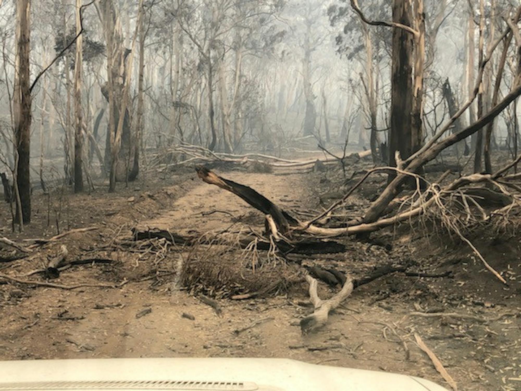 Captain Glenn Squire, Country Fire Authority New South Wales