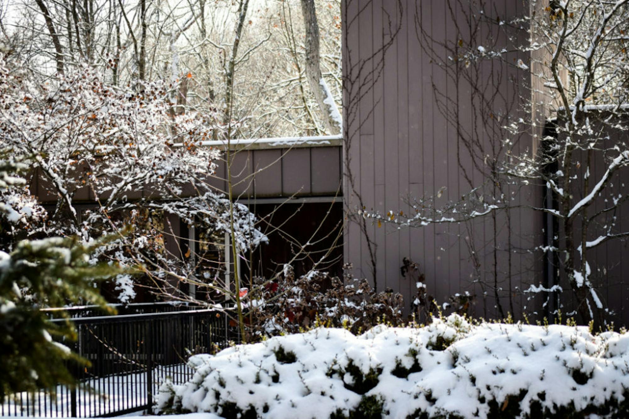 Snow in Rockafield Cemetery | Photo by Jessica Fugett | The Wright State Guardian