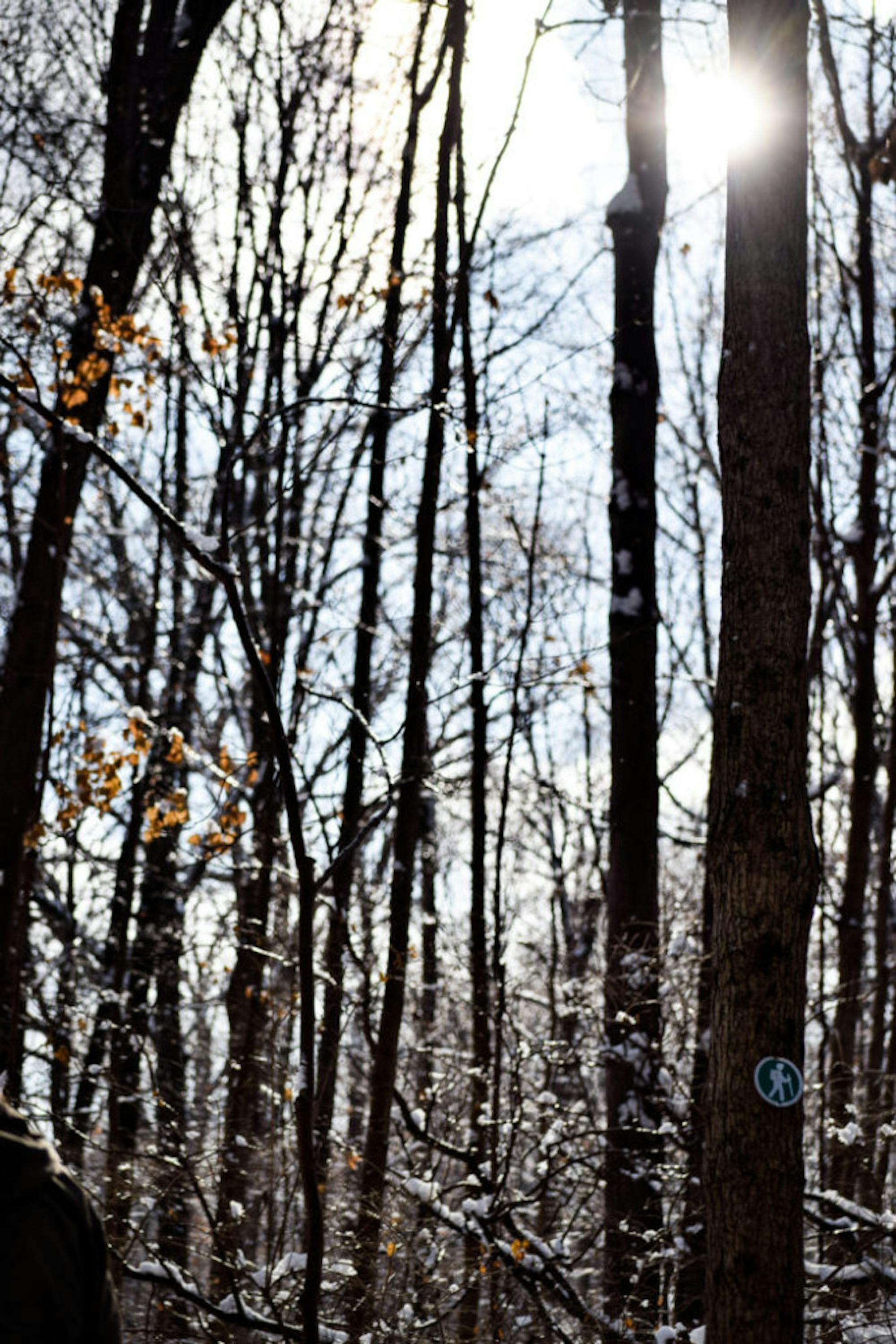 Snow in Rockafield Cemetery | Photo by Jessica Fugett | The Wright State Guardian