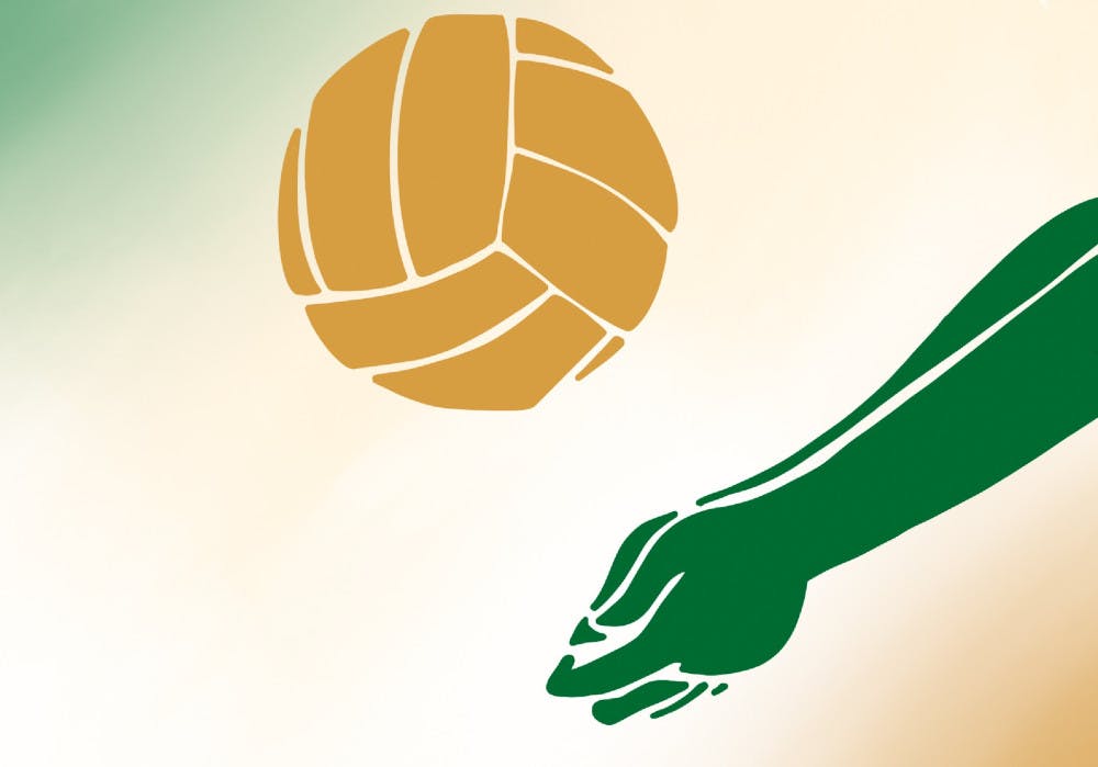 Volleyball_graphic