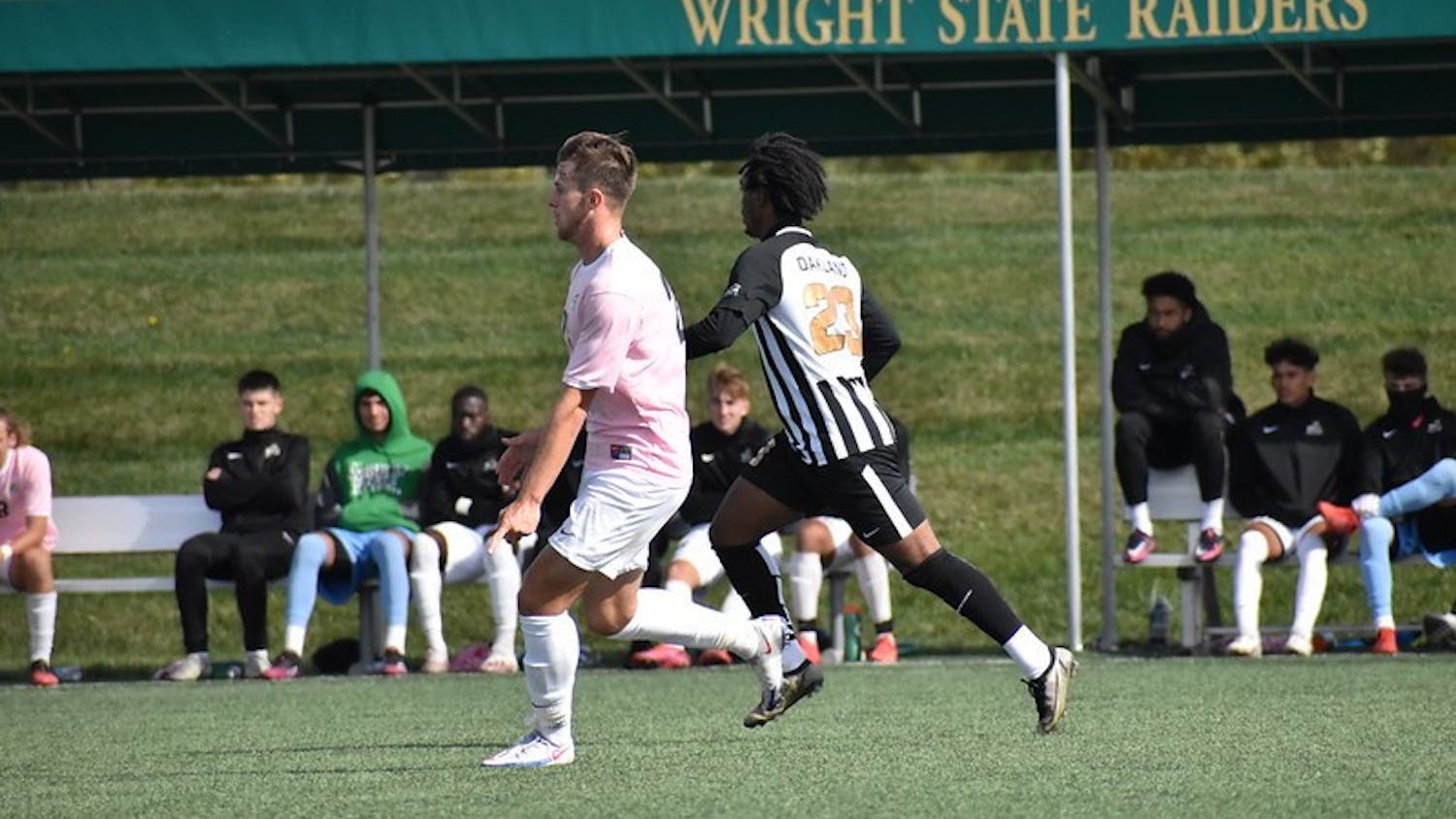 51603283878_2415a2ce54_c