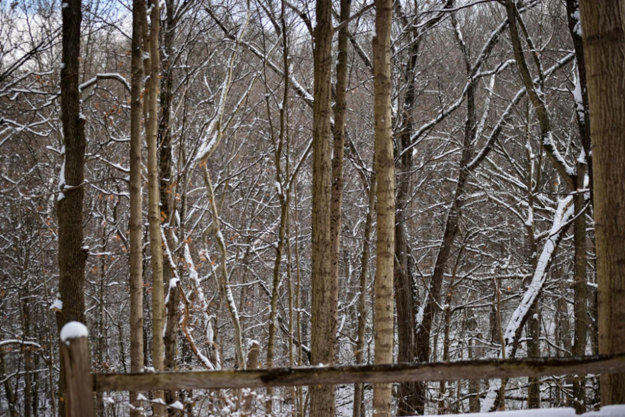 Snow in Rockafield Cemetery | Photo by Jessica Fugett | The Wright State Guardian