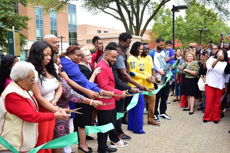 51550784153_72a639961f_c