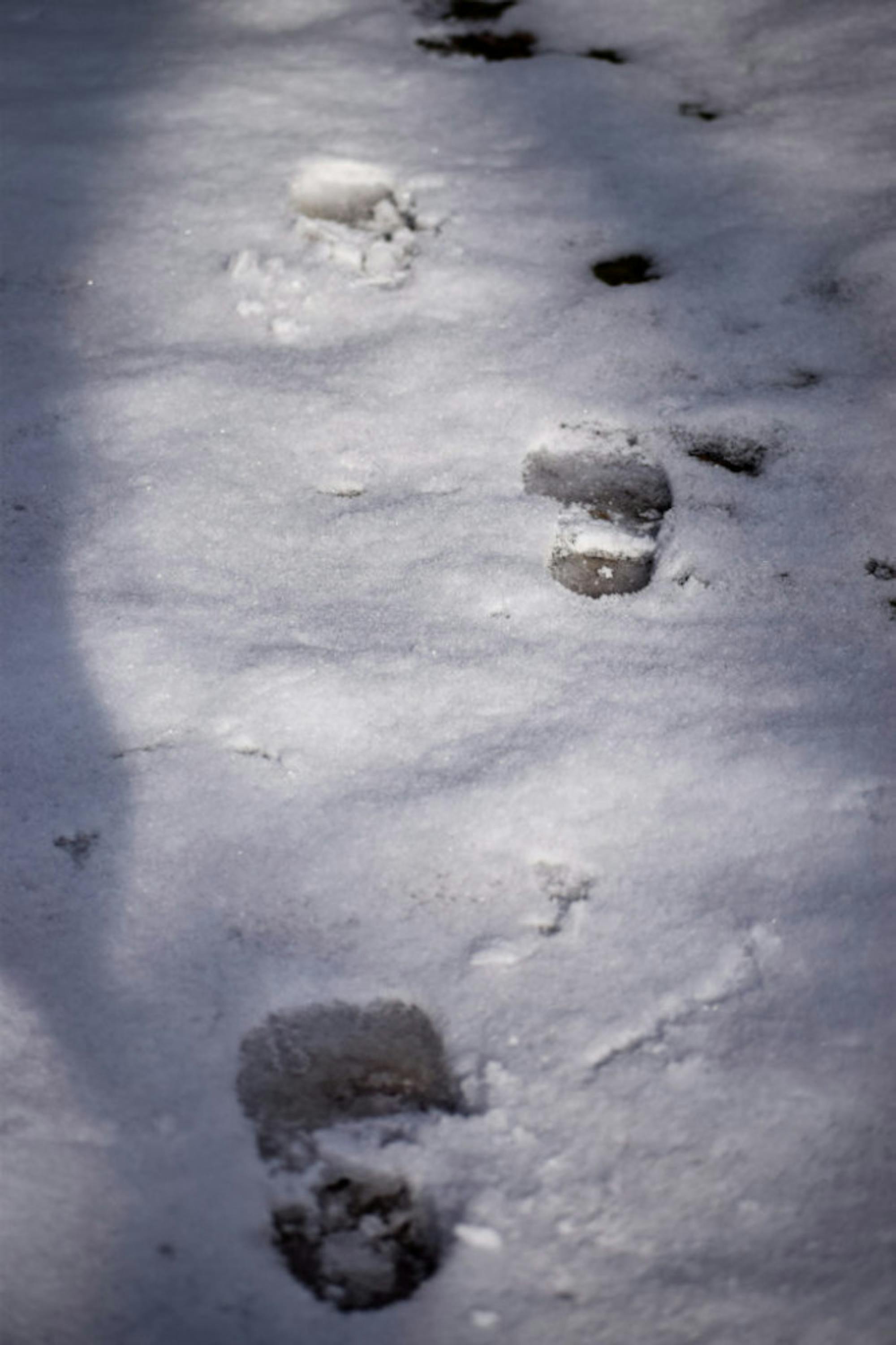 Snow in Rockafield Cemetery | Photo by Jessica Fugett | The Wright State Guardian