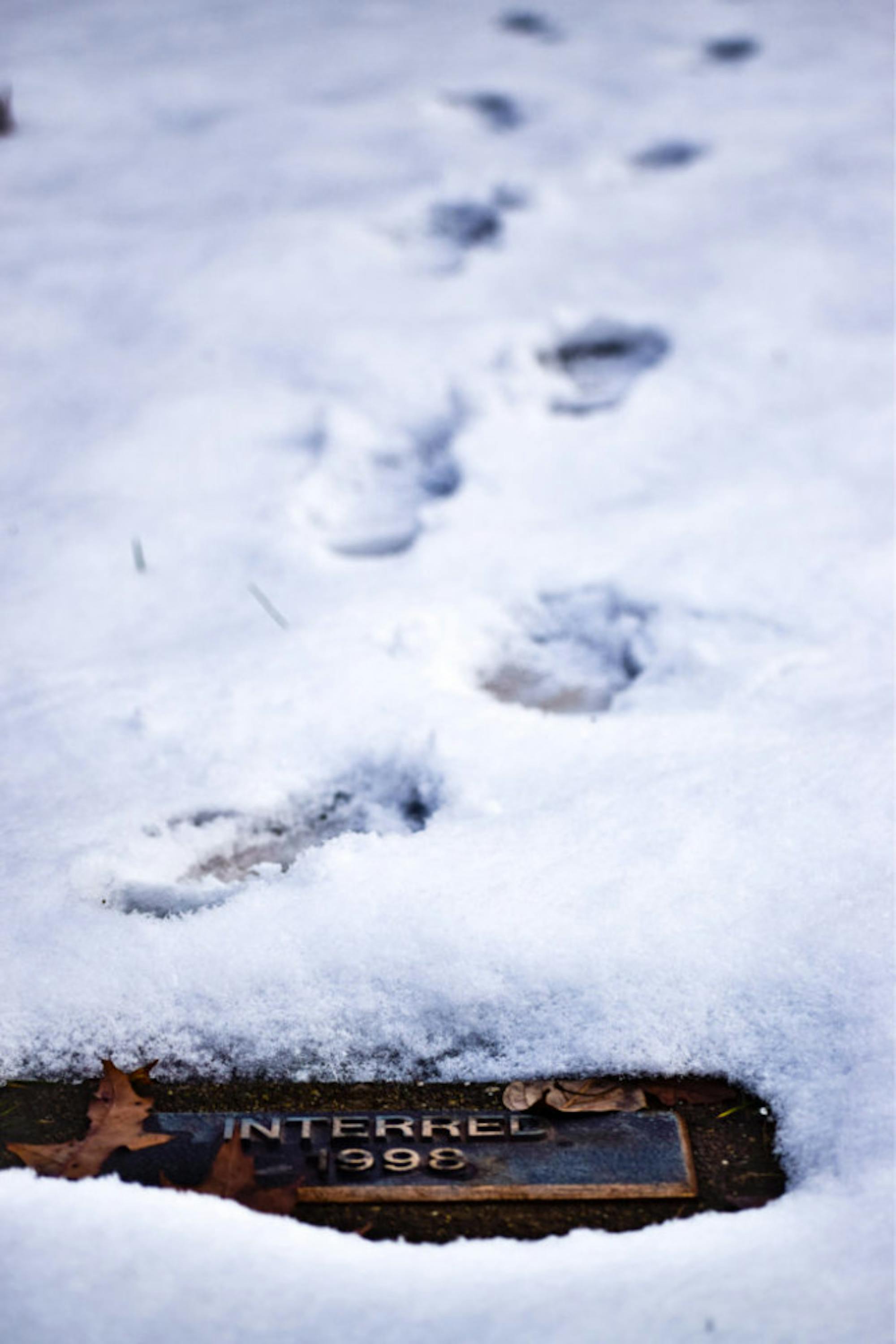 Snow in Rockafield Cemetery | Photo by Jessica Fugett | The Wright State Guardian