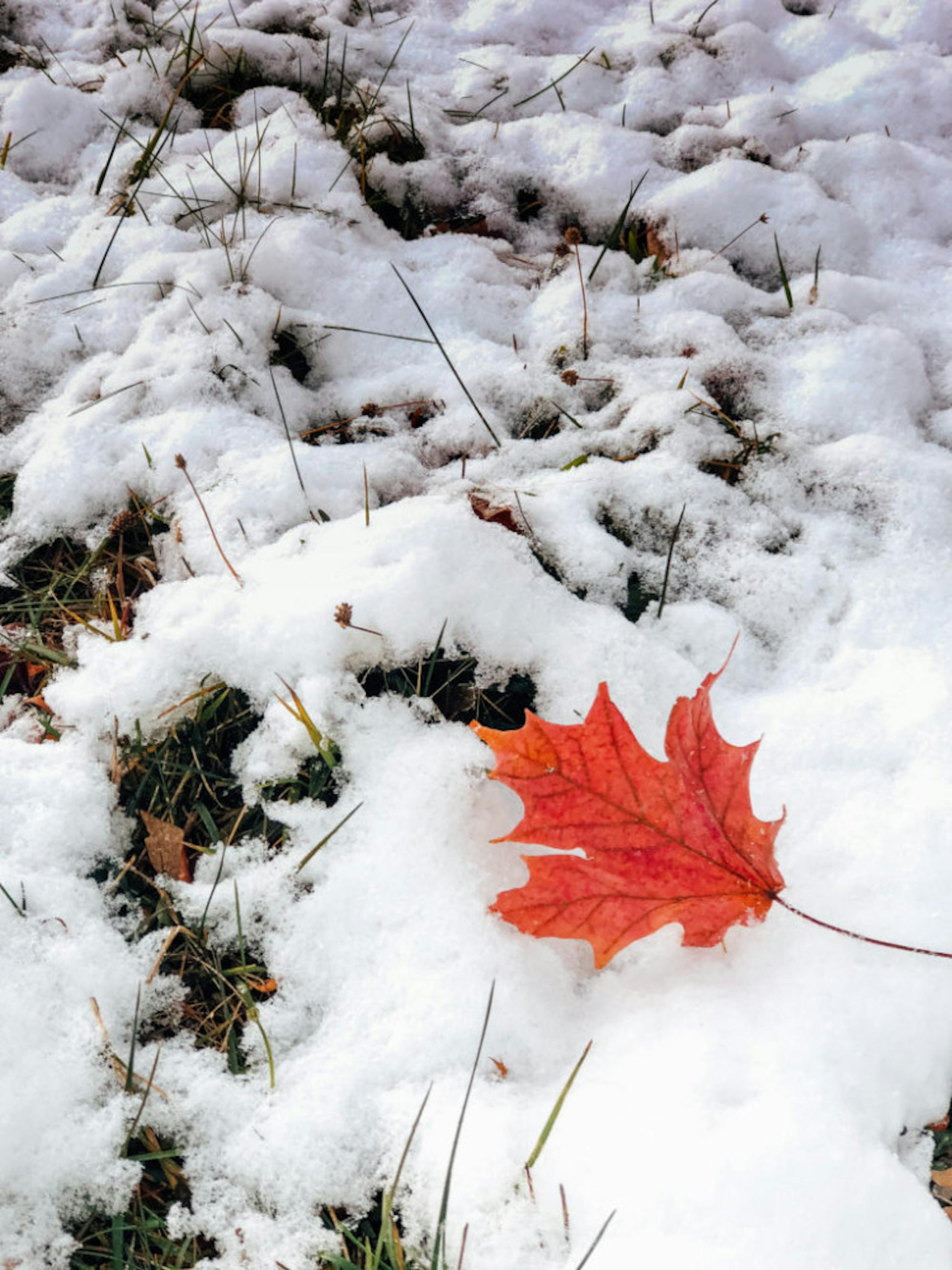 Wright State campus after first snowfall of the season | Photograph by Soham Parikh | The Wright State Guardian