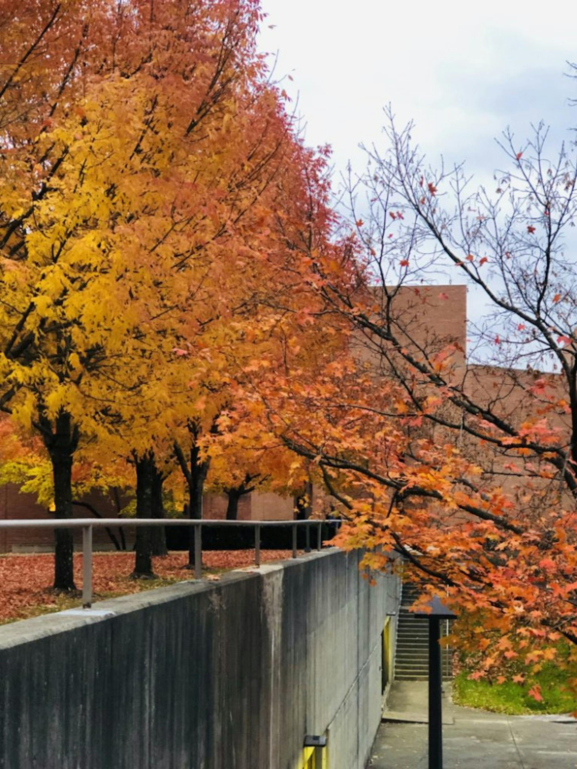 20191029_221917466_iOS-1-768x1024