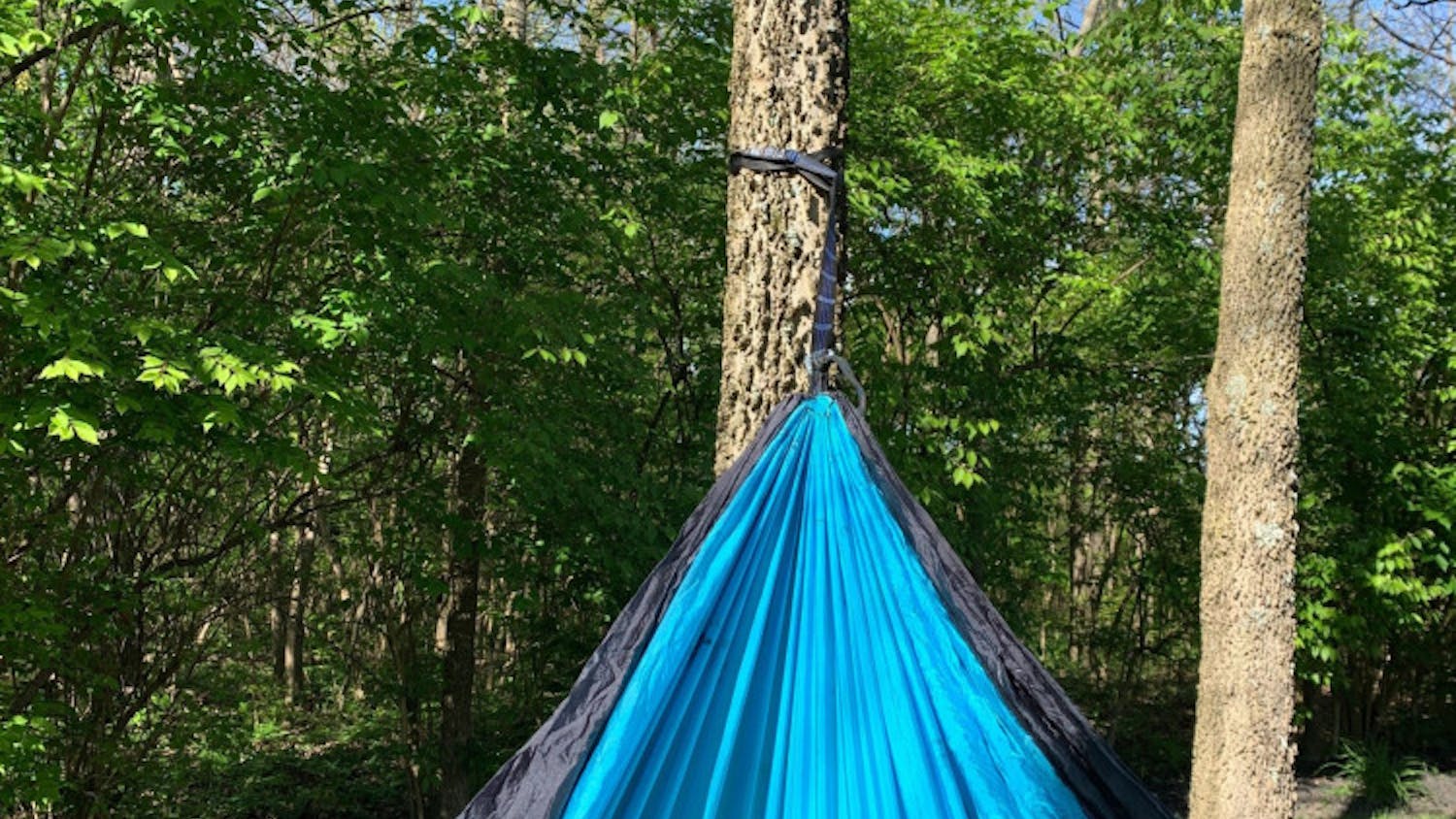 Image-from-iOS-59-scaled