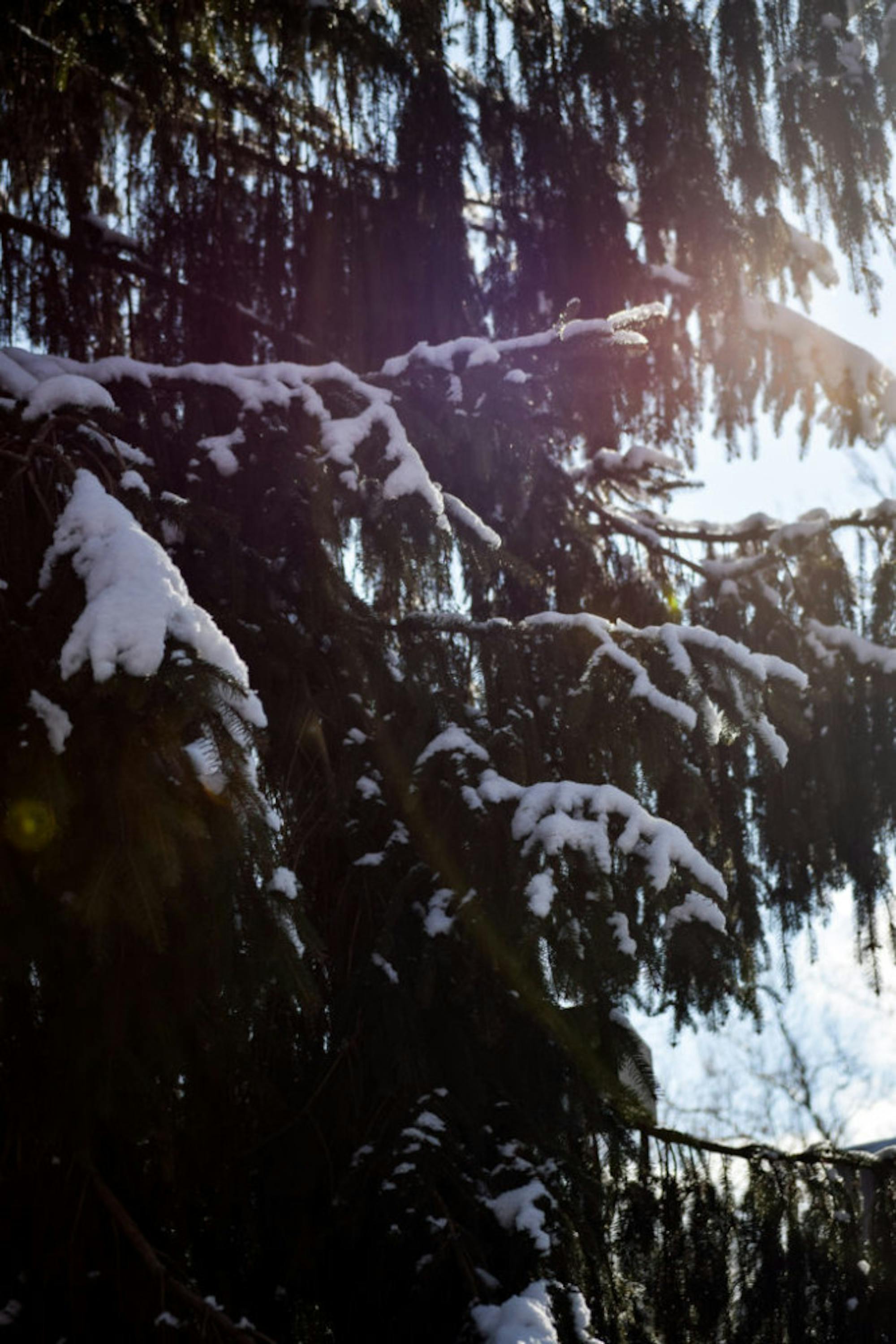 Snow in Rockafield Cemetery | Photo by Jessica Fugett | The Wright State Guardian