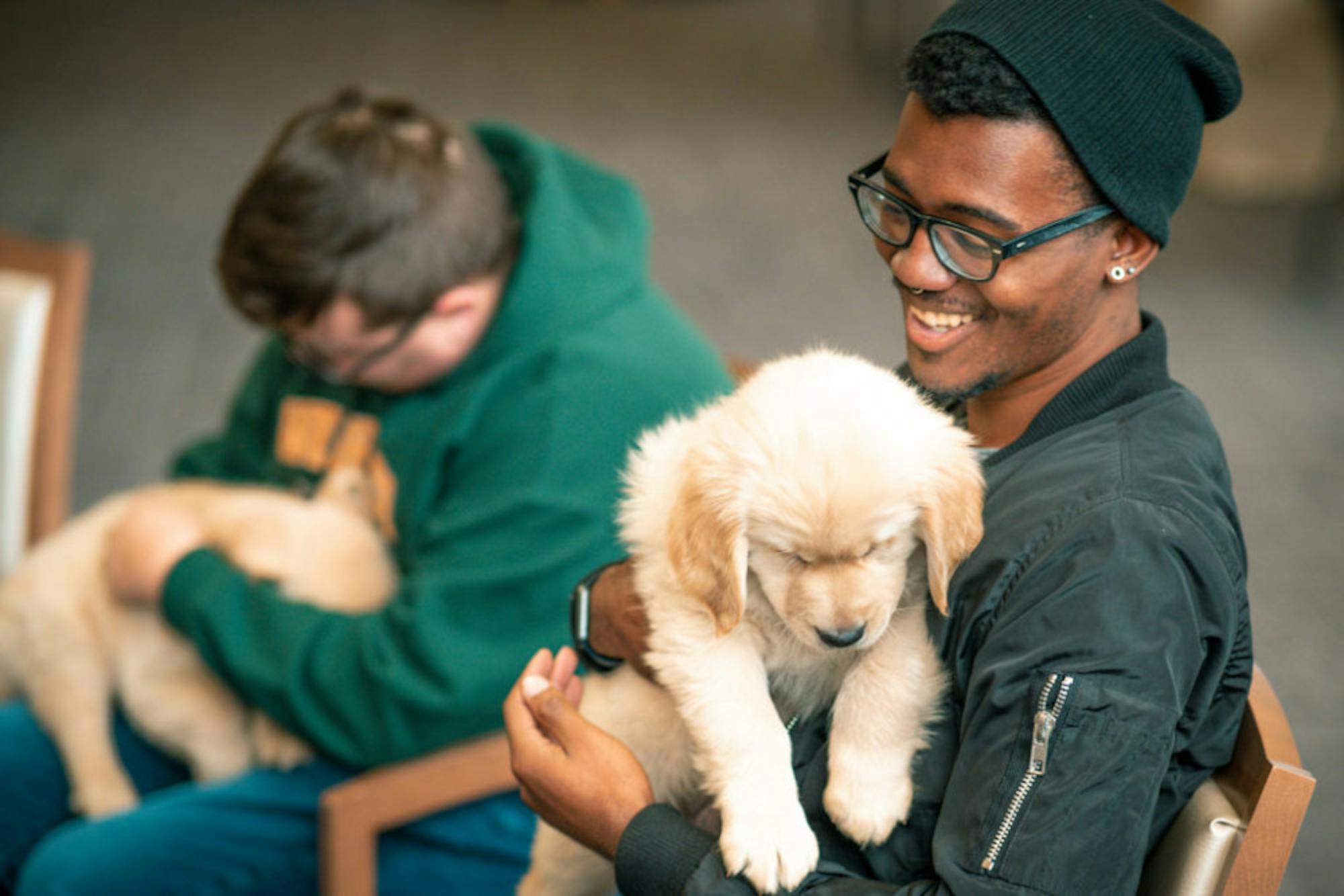 Fuzz Therapy | Photo by Soham Parikh | The Wright State Guardian