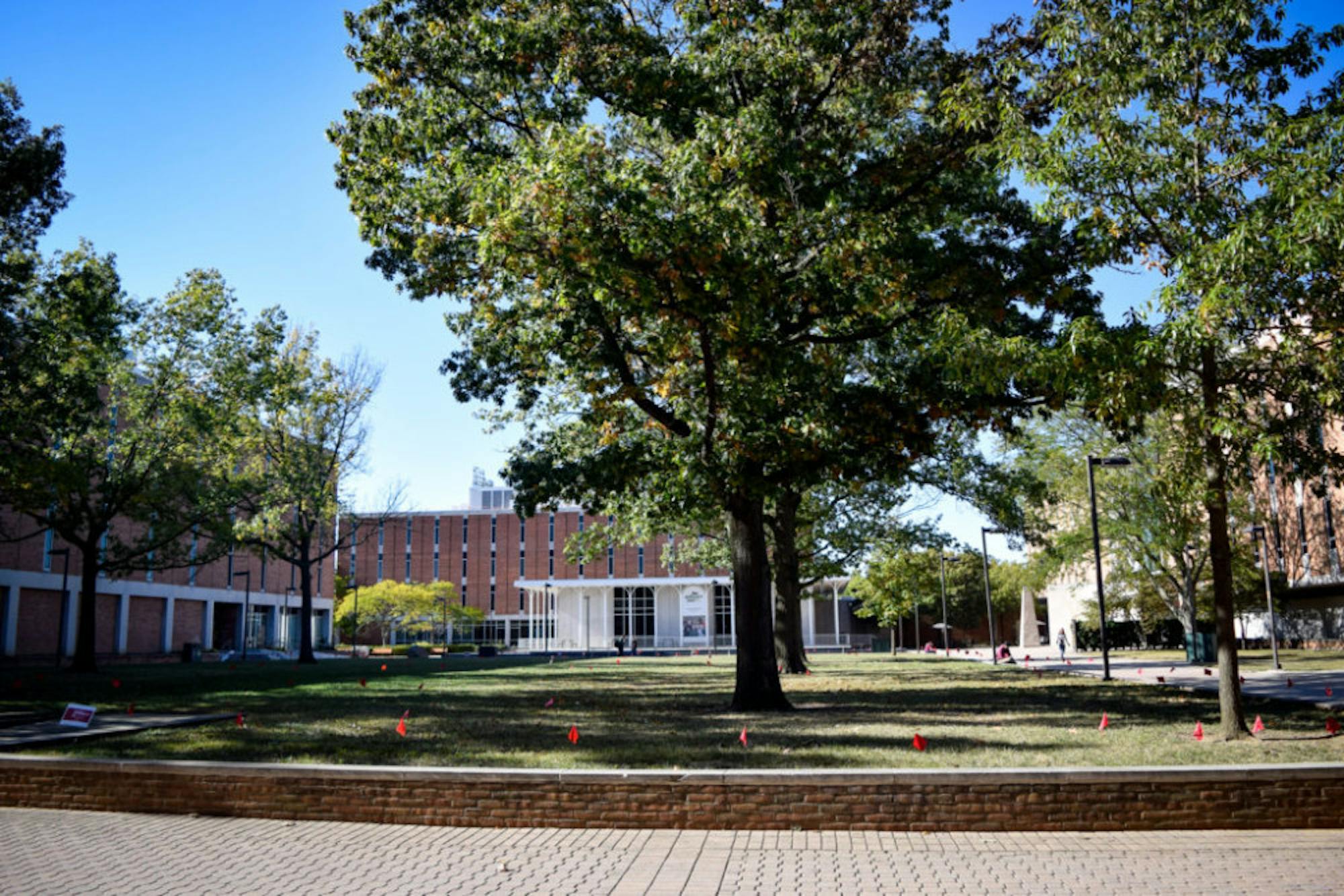 Domestic Violence Awareness Week | Photo by Jessica Fugett | The Wright State Guardian