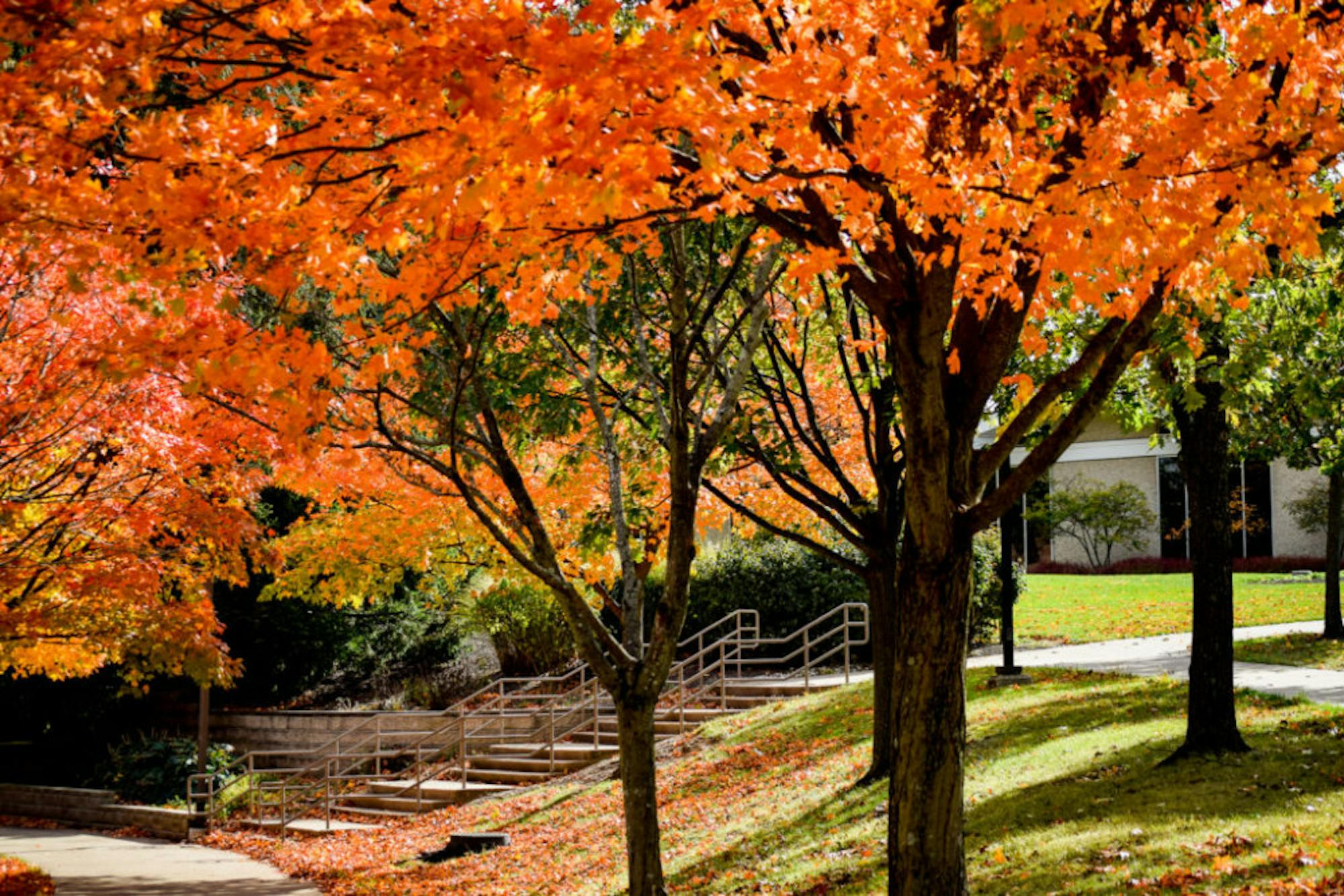 Fall on Campus | Photo by Jessica Fugett | The Wright State Guardian