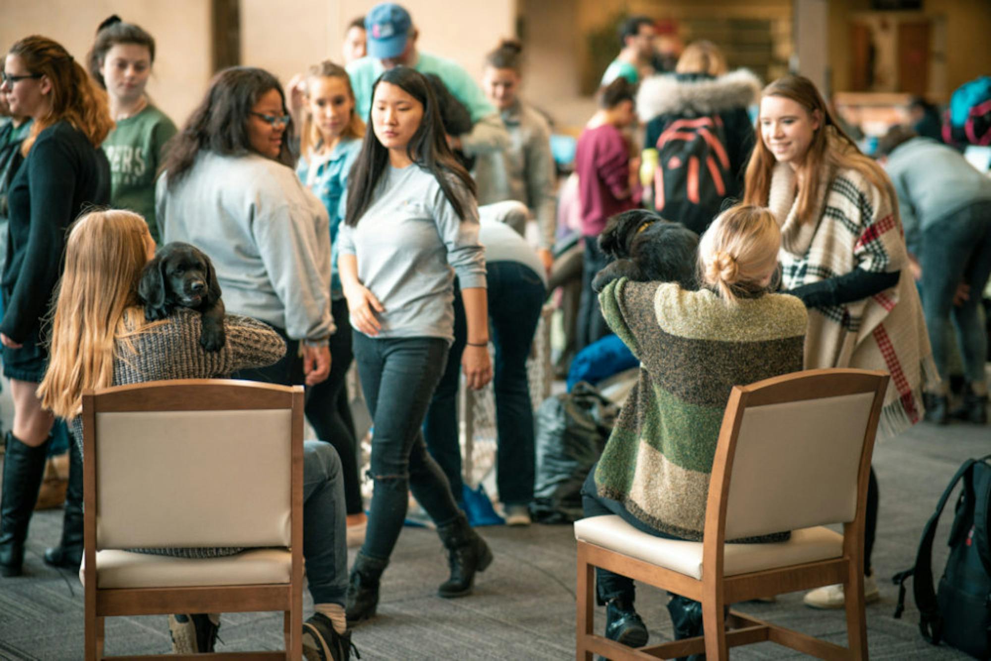 Fuzz Therapy | Photo by Soham Parikh | The Wright State Guardian