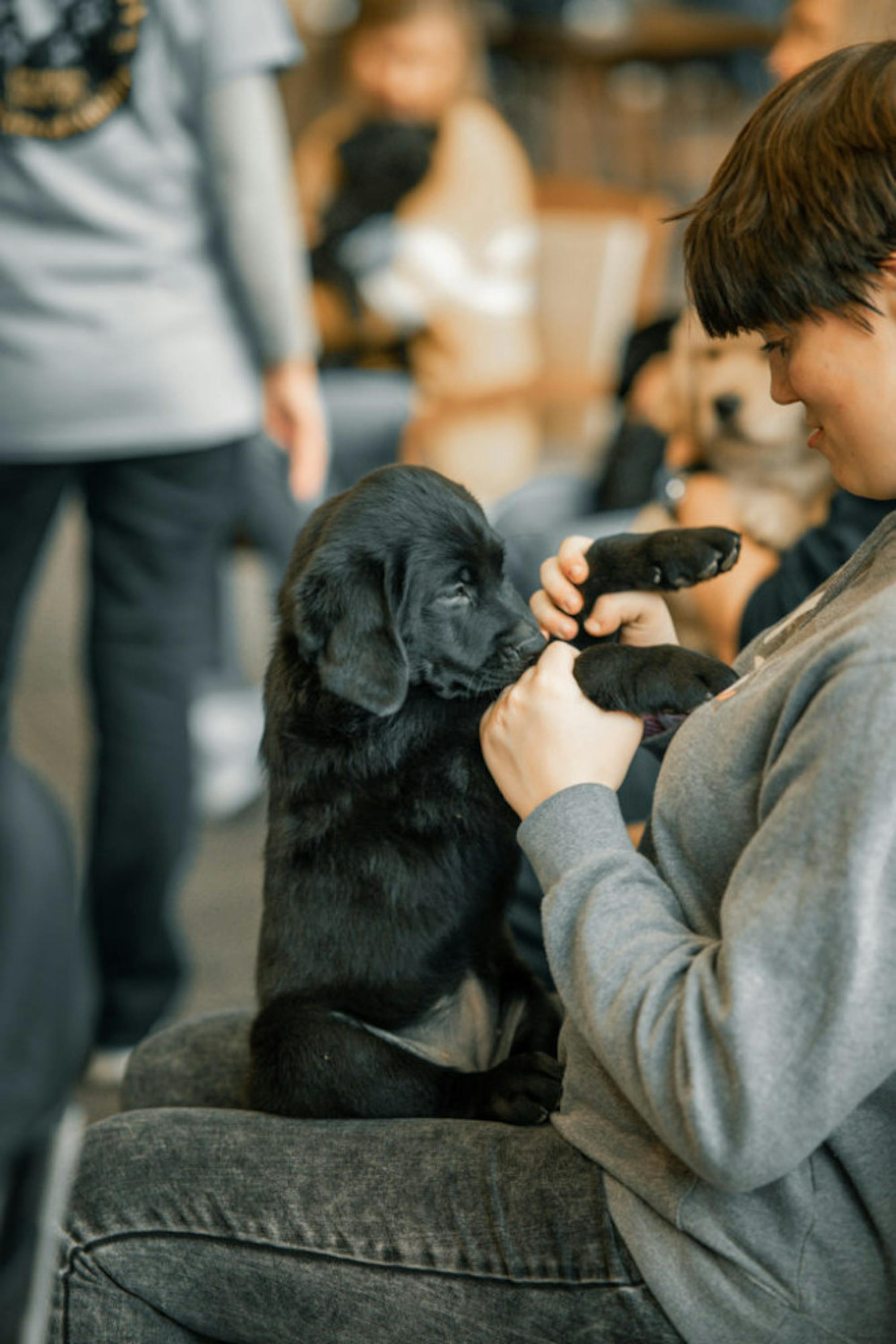 Fuzz Therapy | Photo by Soham Parikh | The Wright State Guardian