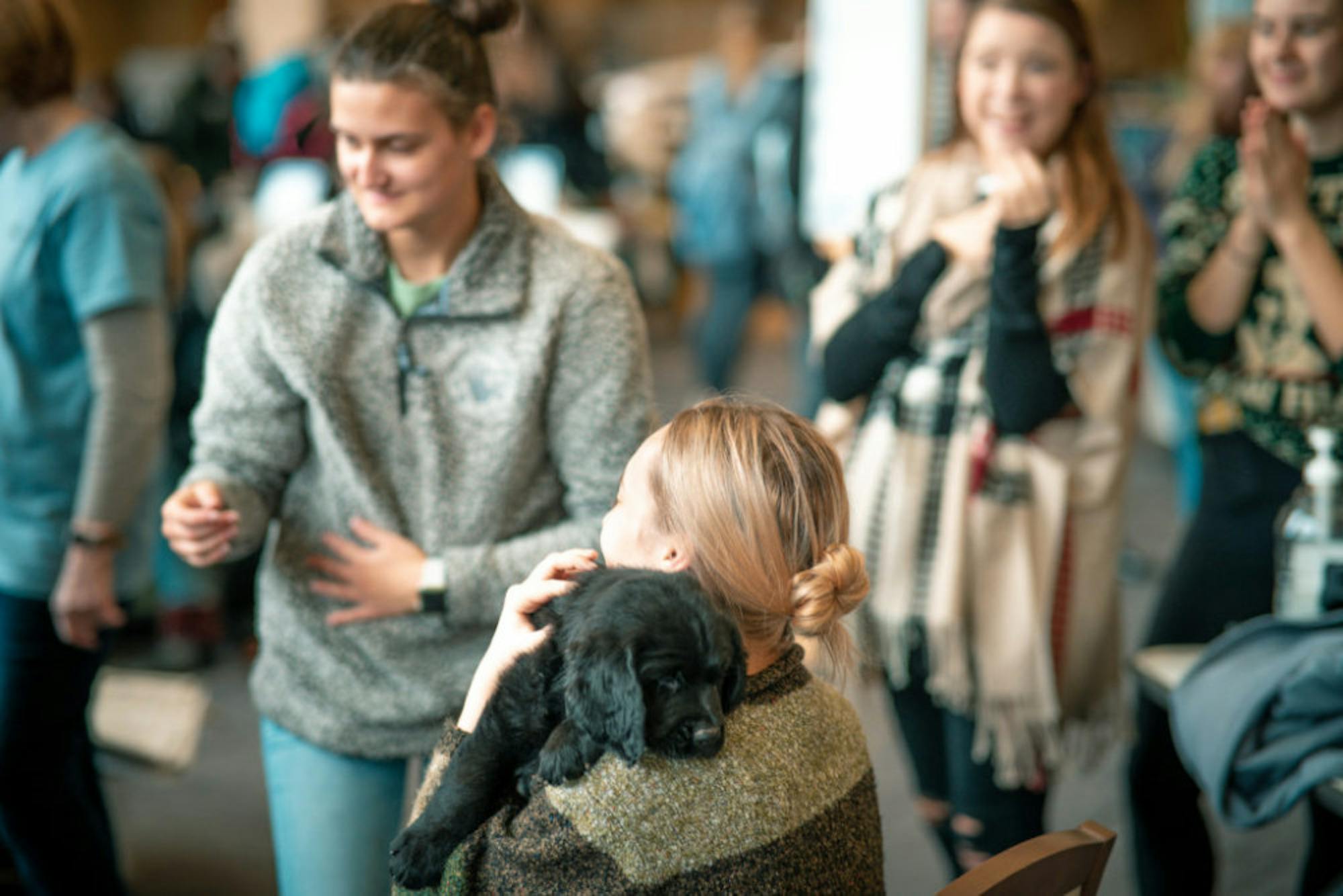 Fuzz Therapy | Photo by Soham Parikh | The Wright State Guardian