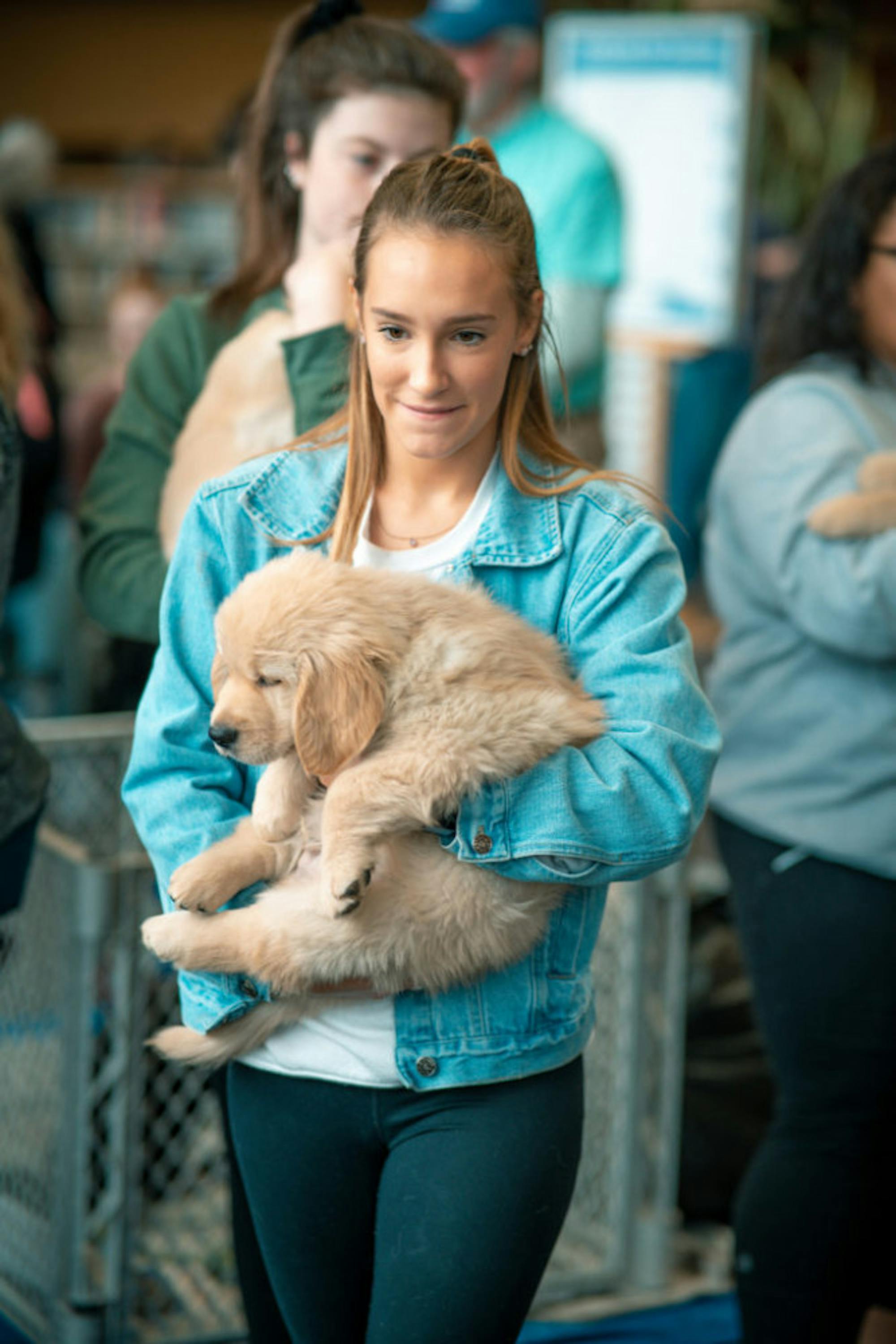 Fuzz Therapy | Photo by Soham Parikh | The Wright State Guardian