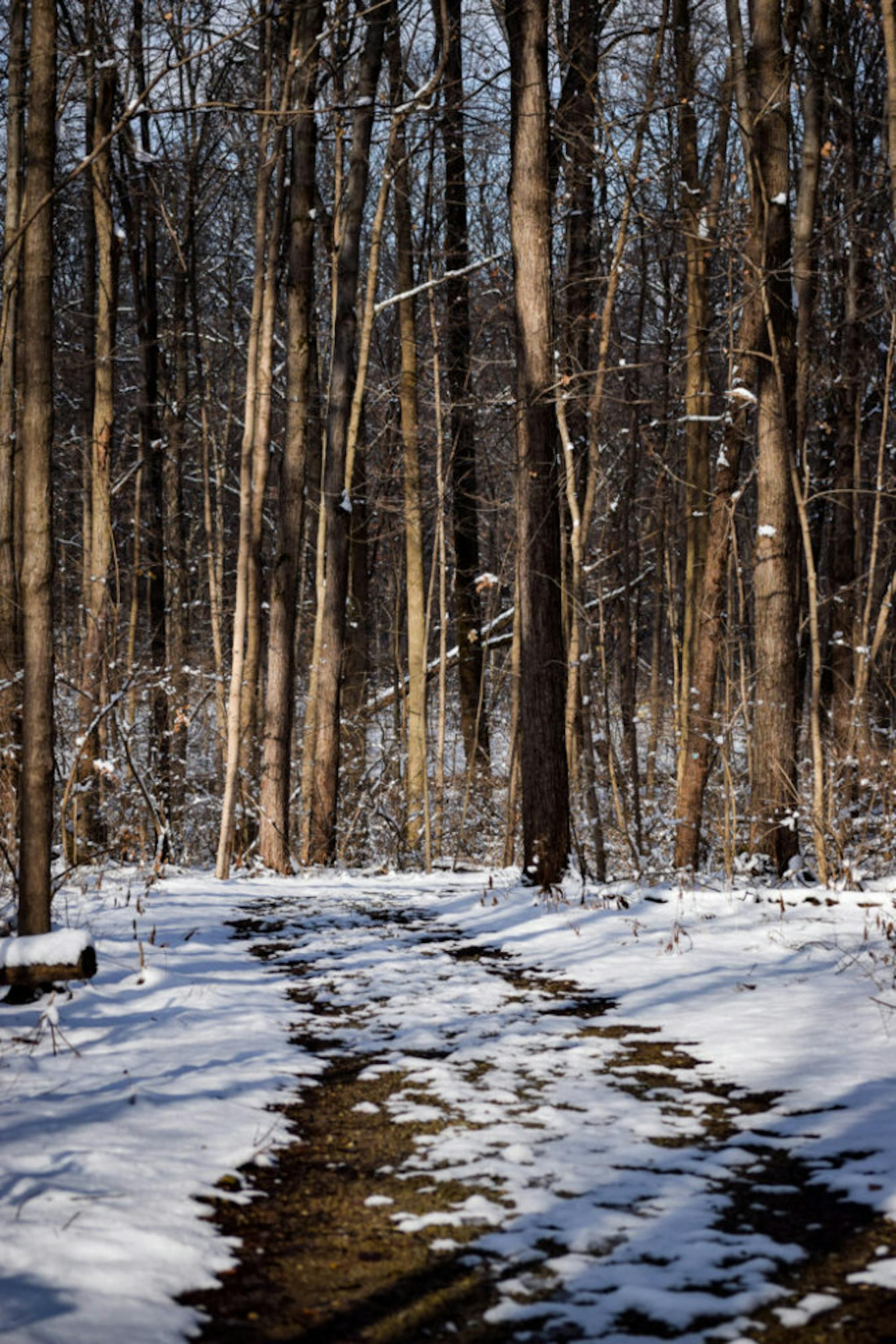 Snow in Rockafield Cemetery | Photo by Jessica Fugett | The Wright State Guardian