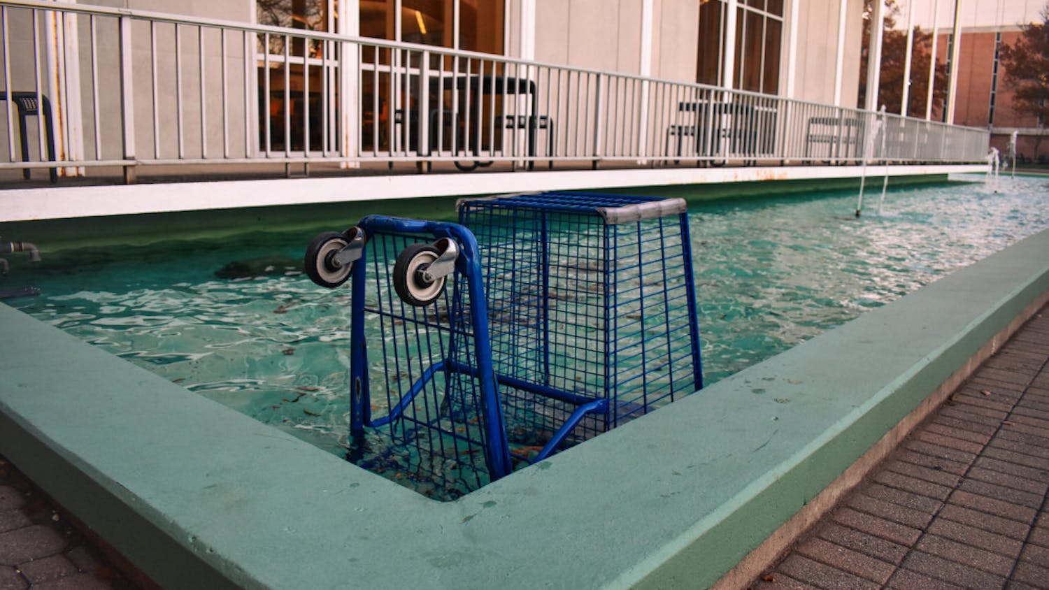 54154071145_4d1c7cbc11_o-scaled