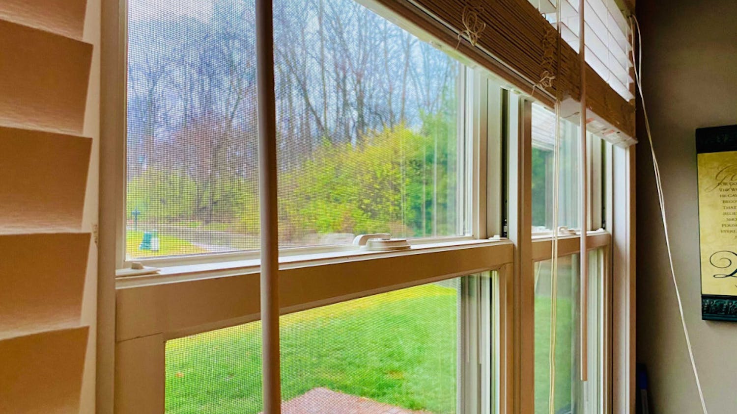 Image-from-iOS-scaled