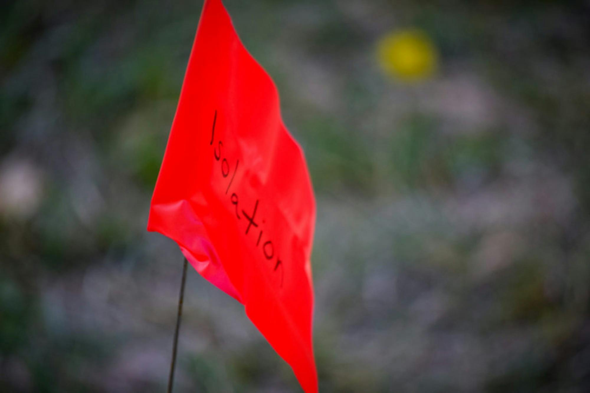 Domestic Violence Awareness Week | Photo by Jessica Fugett | The Wright State Guardian