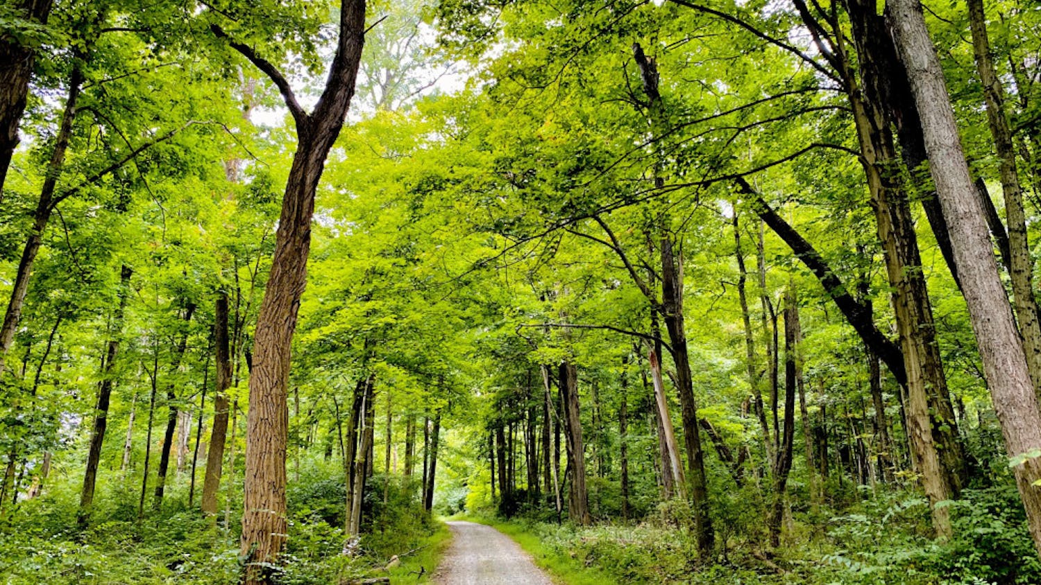 50331605648_944081ee42_o-scaled