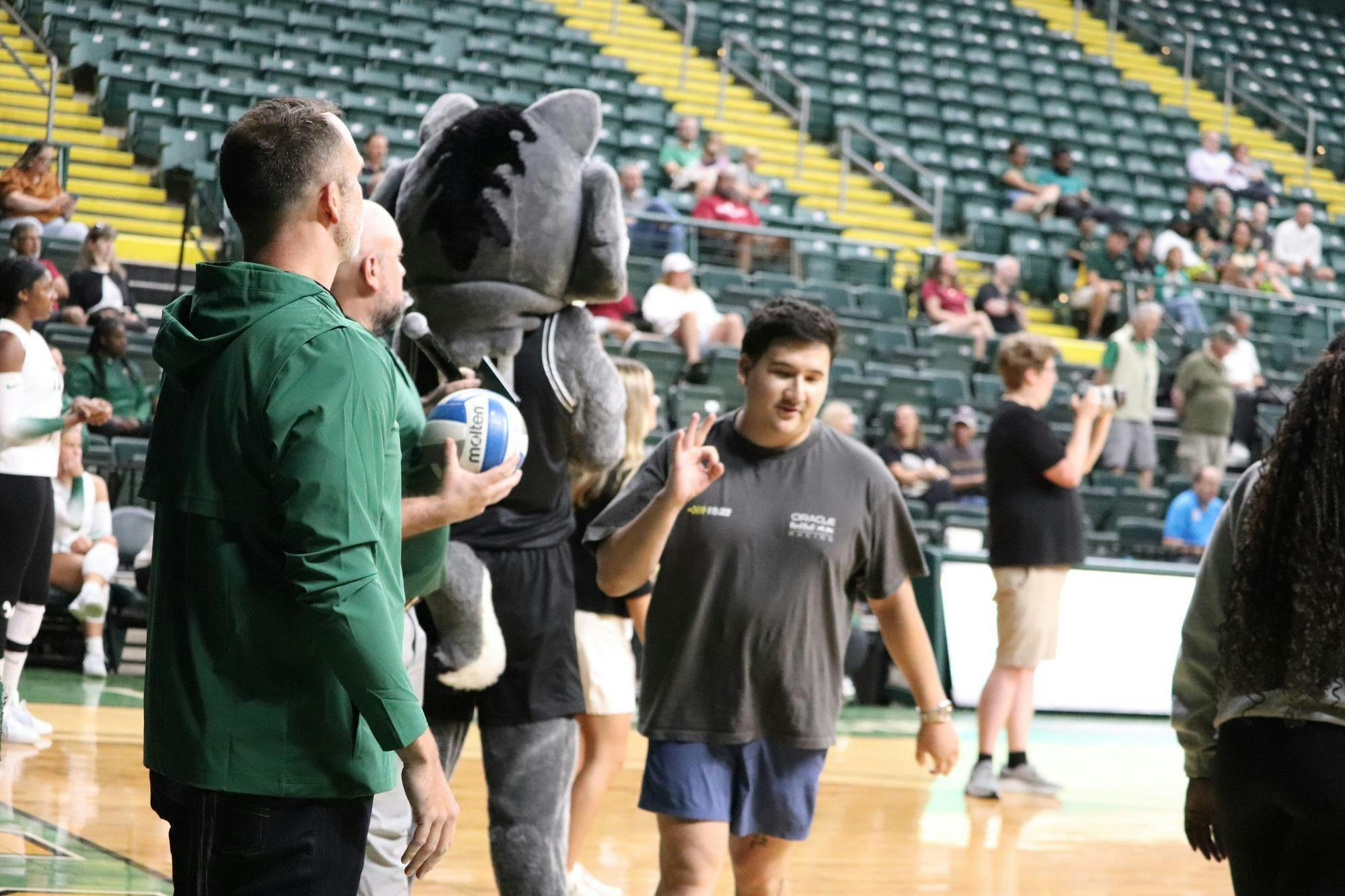 Sidelines-Volleyball