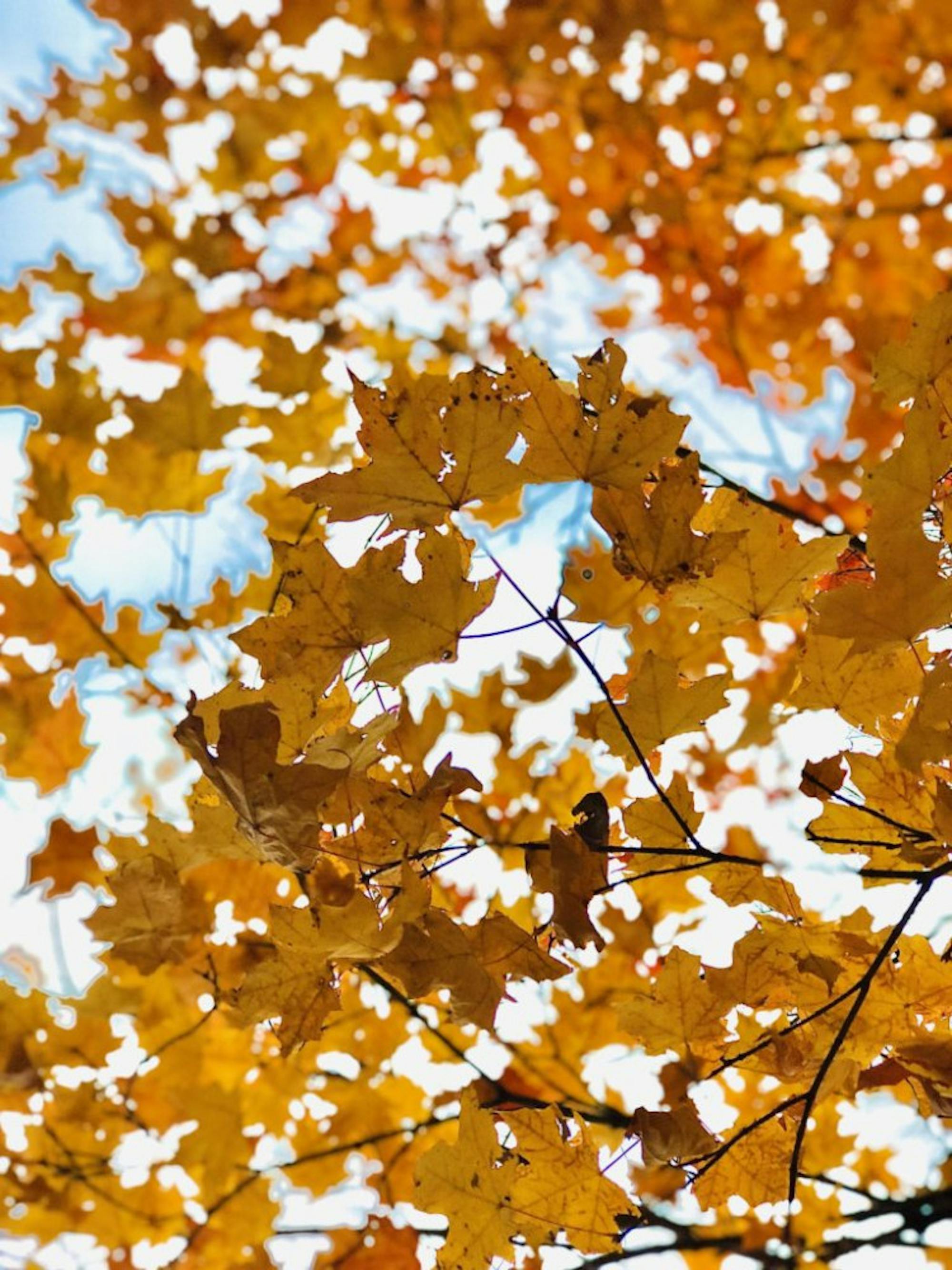 20191029_221643039_iOS-768x1024