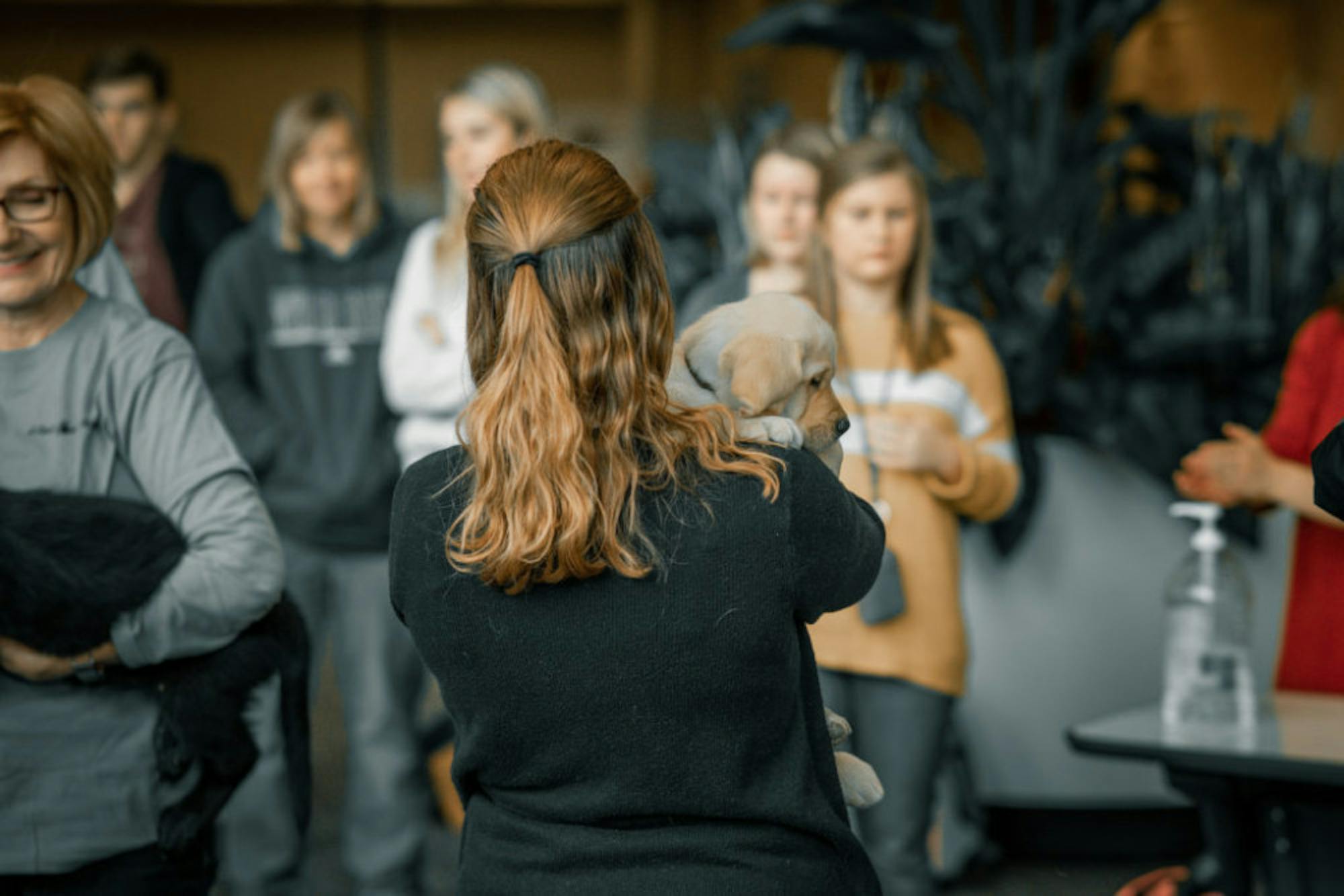 Fuzz Therapy | Photo by Soham Parikh | The Wright State Guardian